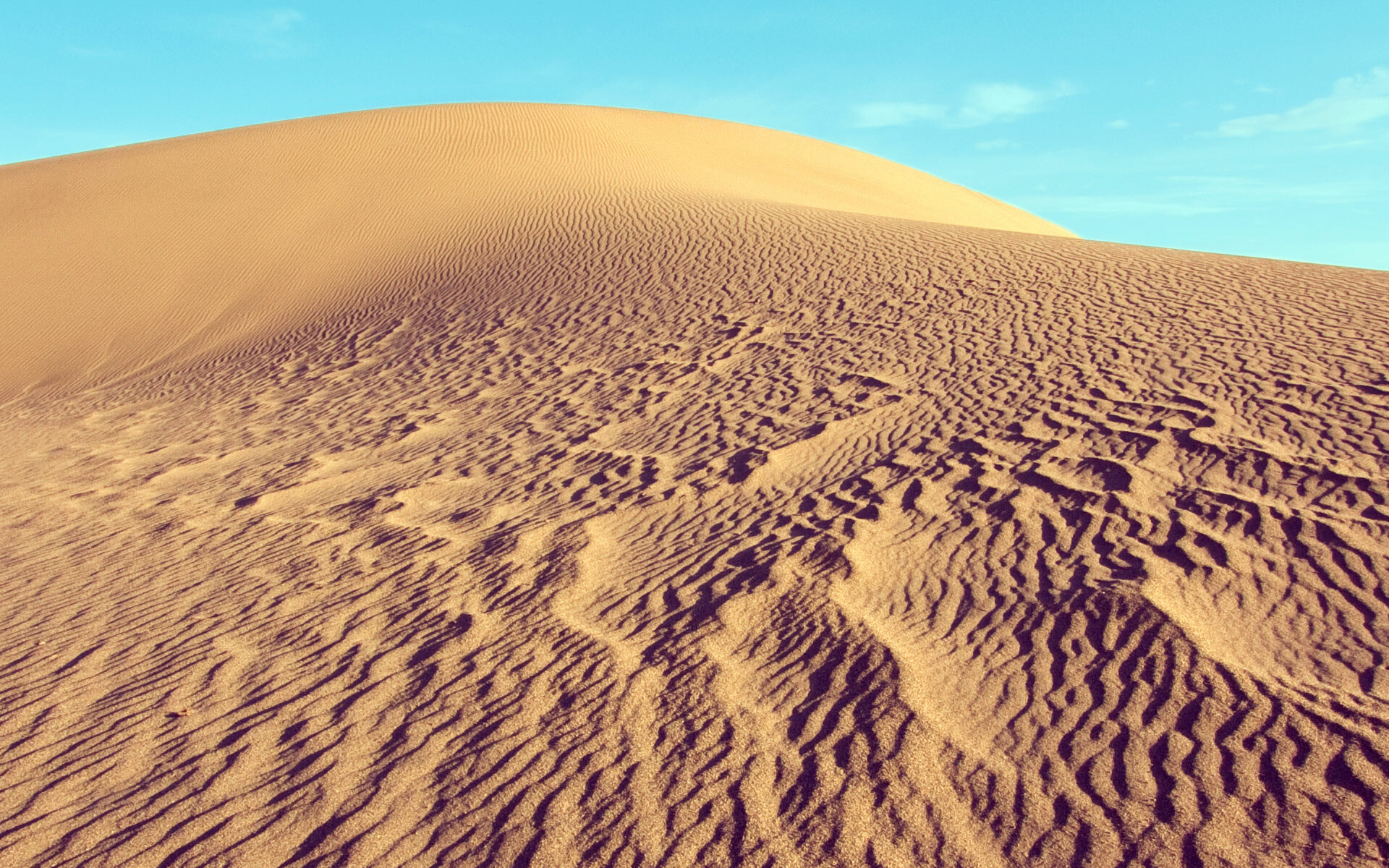 Desert: Desertification is caused by such factors as drought, climatic shifts, tillage for agriculture, overgrazing and deforestation. 1920x1200 HD Wallpaper.