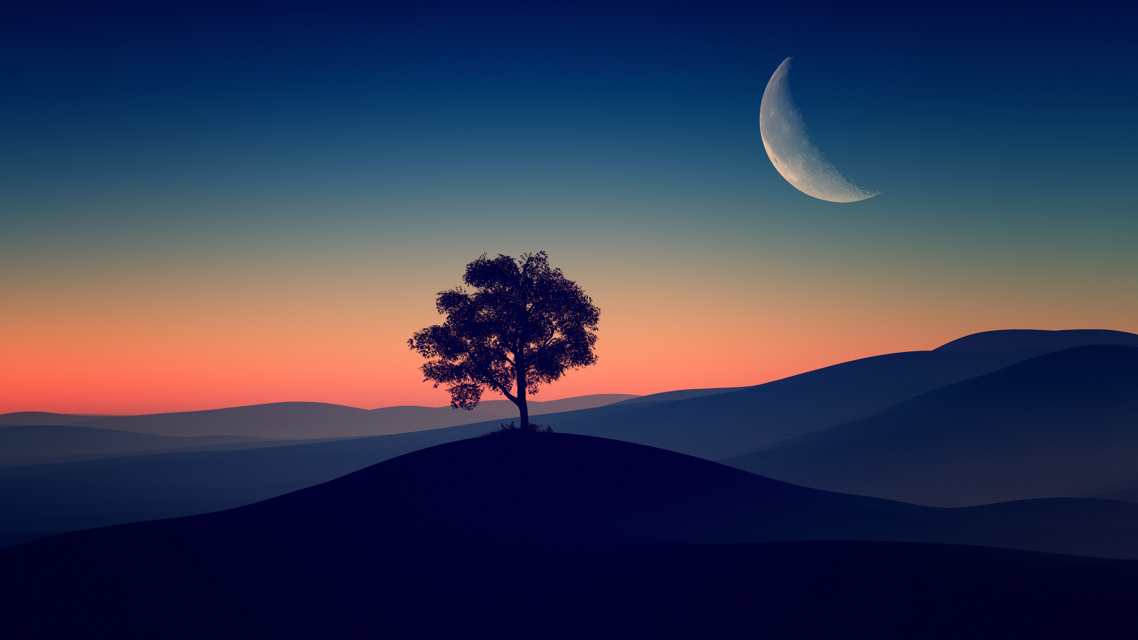 Alone tree silhouette, Dark evening atmosphere, Nature's beauty, Serene landscape, 3840x2160 4K Desktop