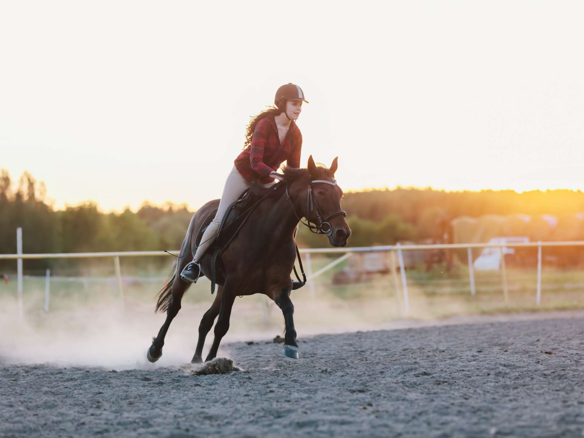 Equestrian Sports: Pleasure riding, Horse ride discipline that encompasses many forms of recreational riding for personal enjoyment. 2000x1500 HD Background.
