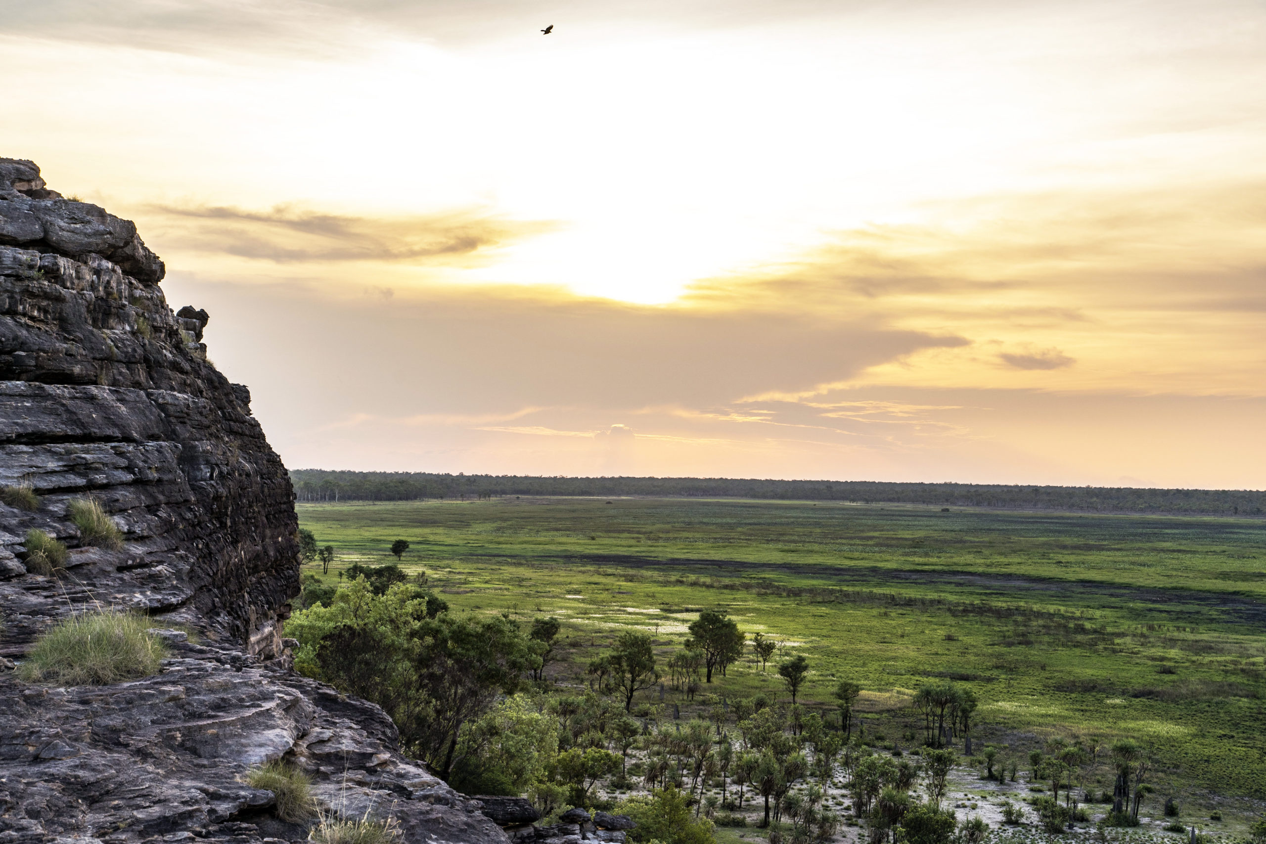 Kakadu National Park, AI transforms, Environmental research, Northern Australia, 2560x1710 HD Desktop