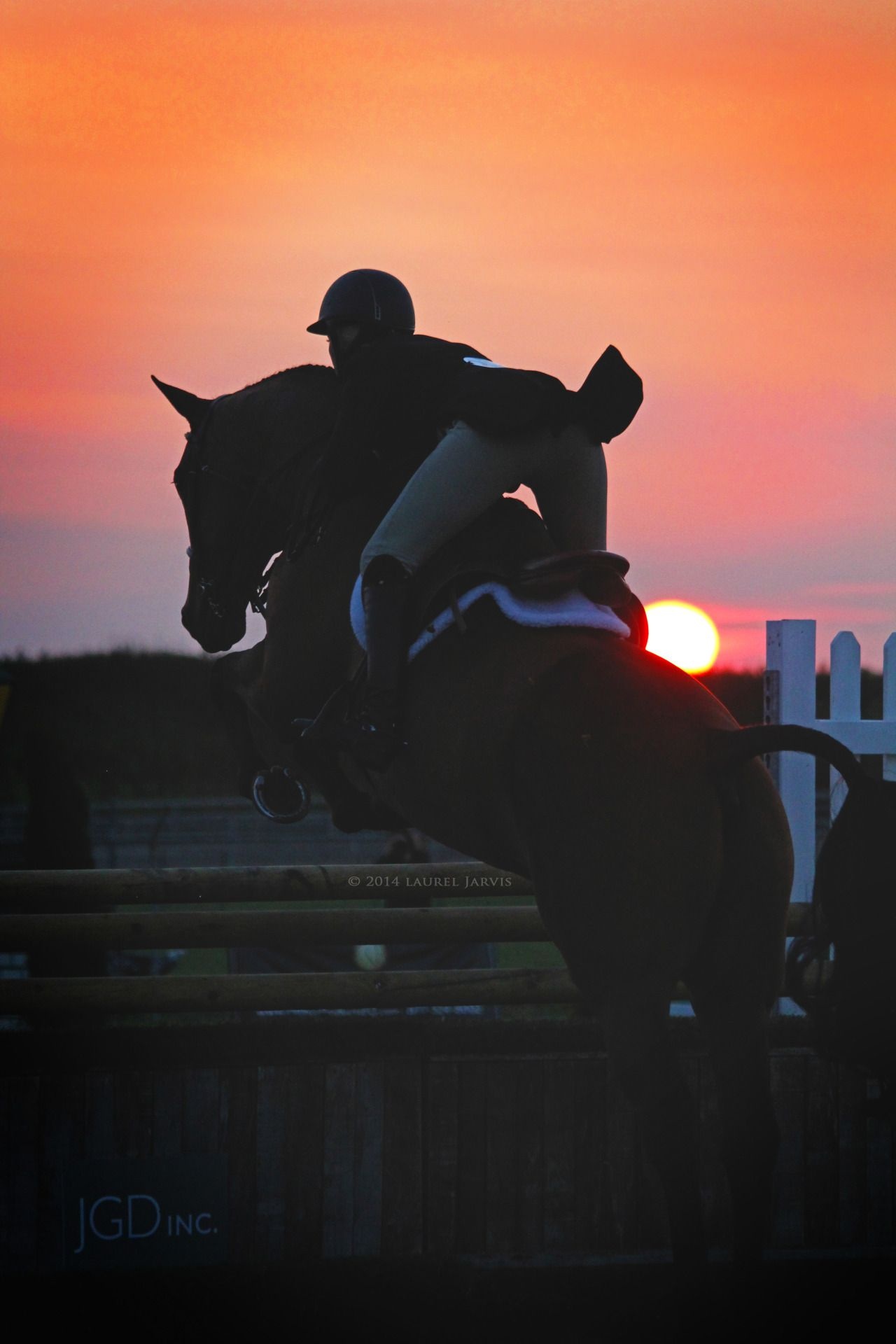 Eventing: Show jumping training in the sunset, Recreational activity and equestrian sport. 1280x1920 HD Background.