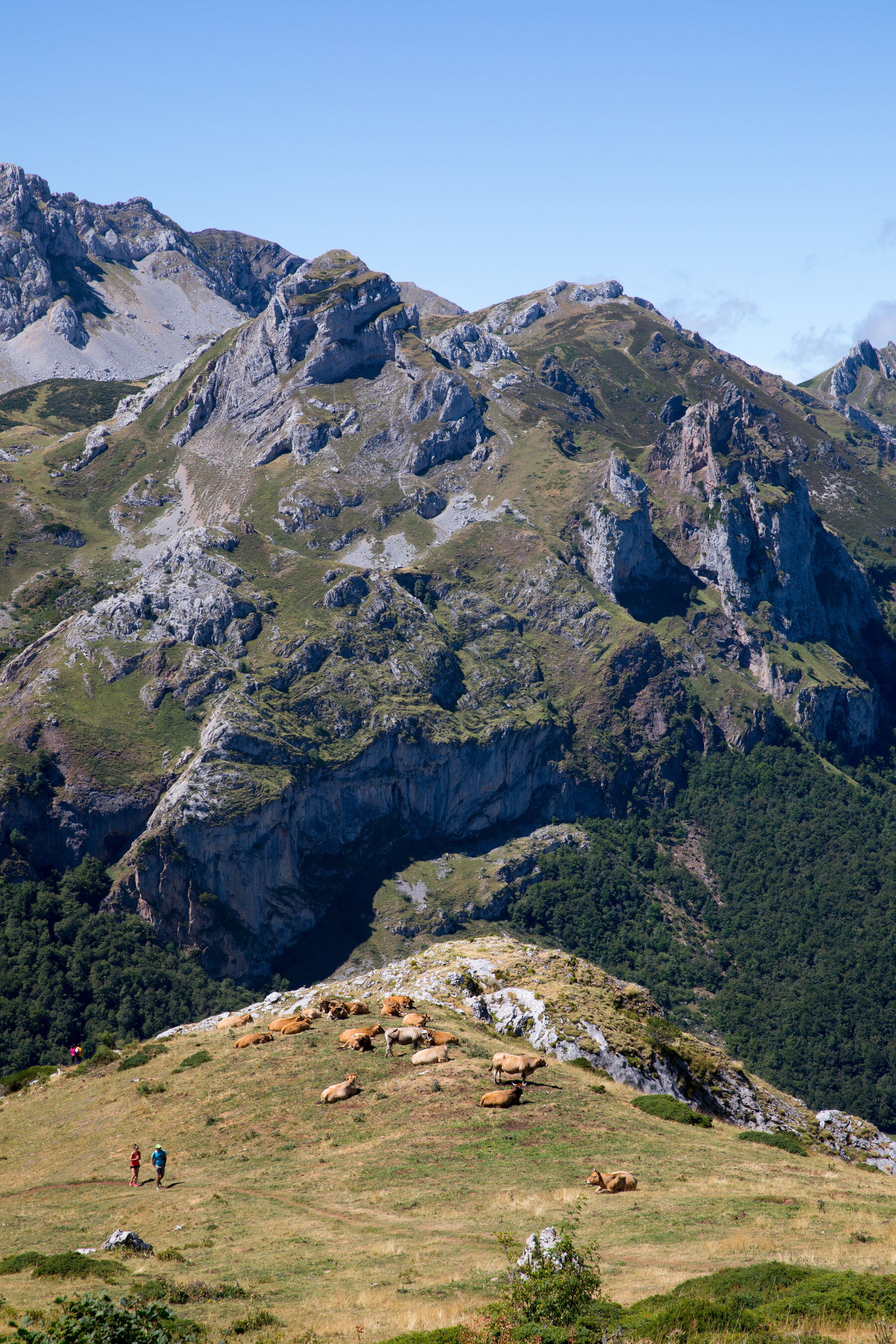 Cantabrian Mountains, Natural wonders, Asturias paradise, Hiking trails, 1800x2700 HD Handy