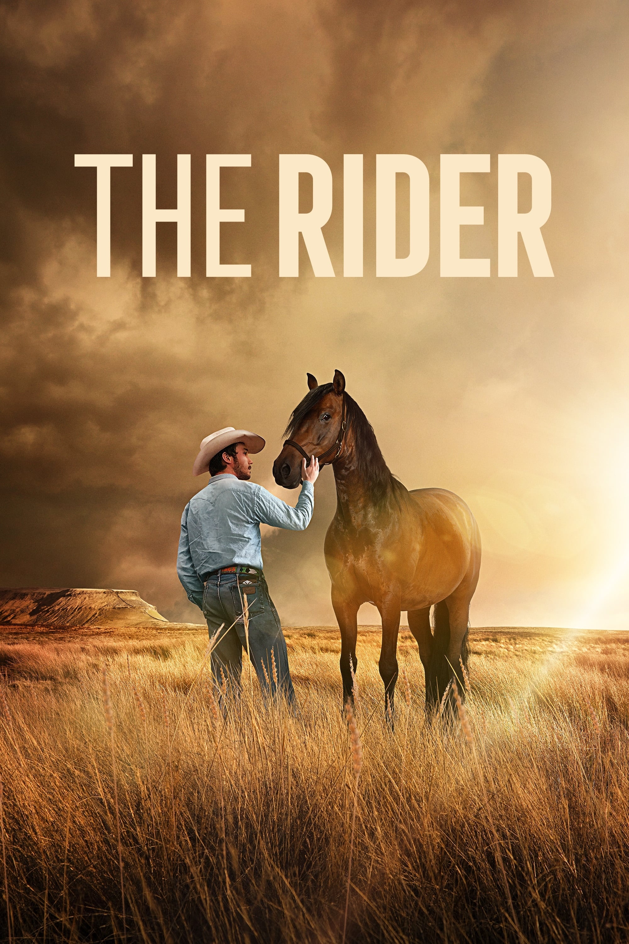 The Rider movie, Posters, Indie film, Western genre, 2000x3000 HD Handy