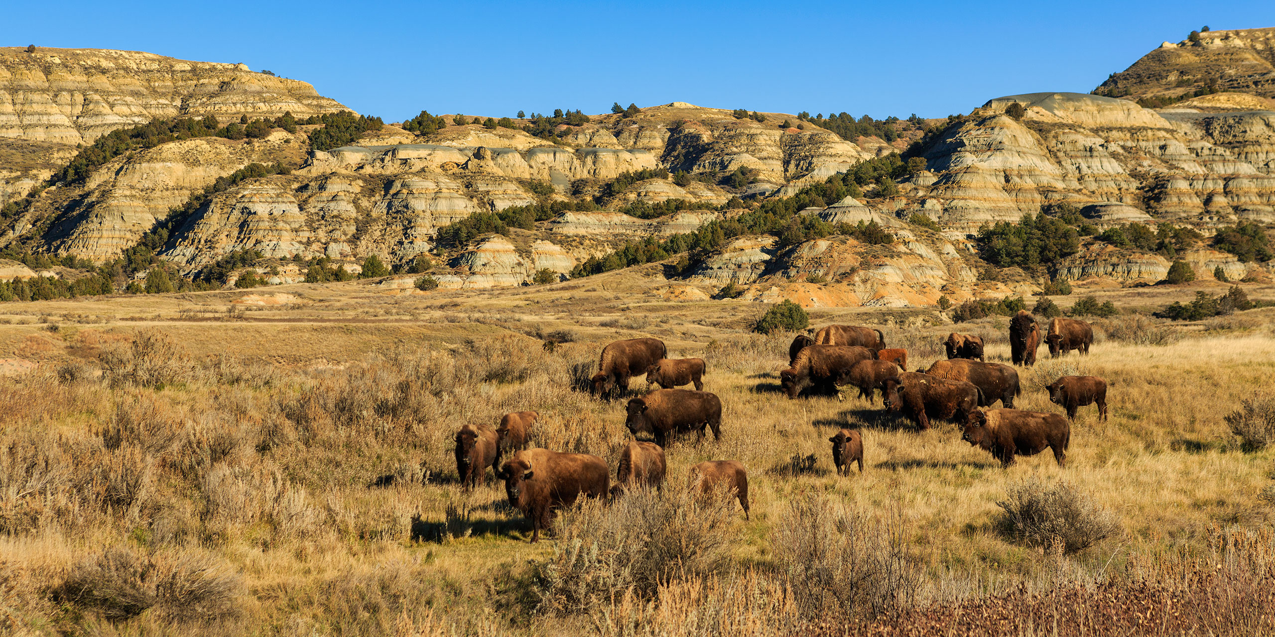 Theodore Roosevelt National Park, Underrated, Family vacation critic, 2560x1280 Dual Screen Desktop