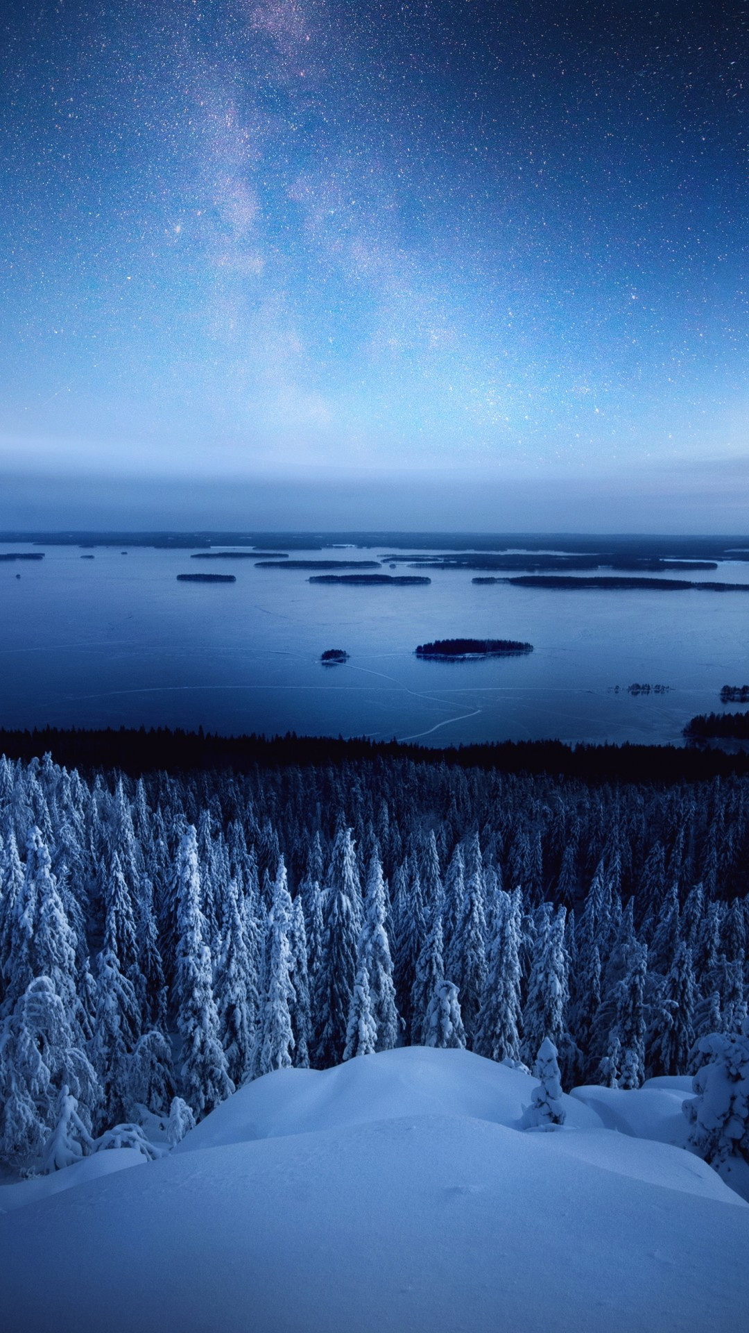 Finland: Koli National Park, Kolin kansallispuisto, The North Karelia region. 1080x1920 Full HD Background.