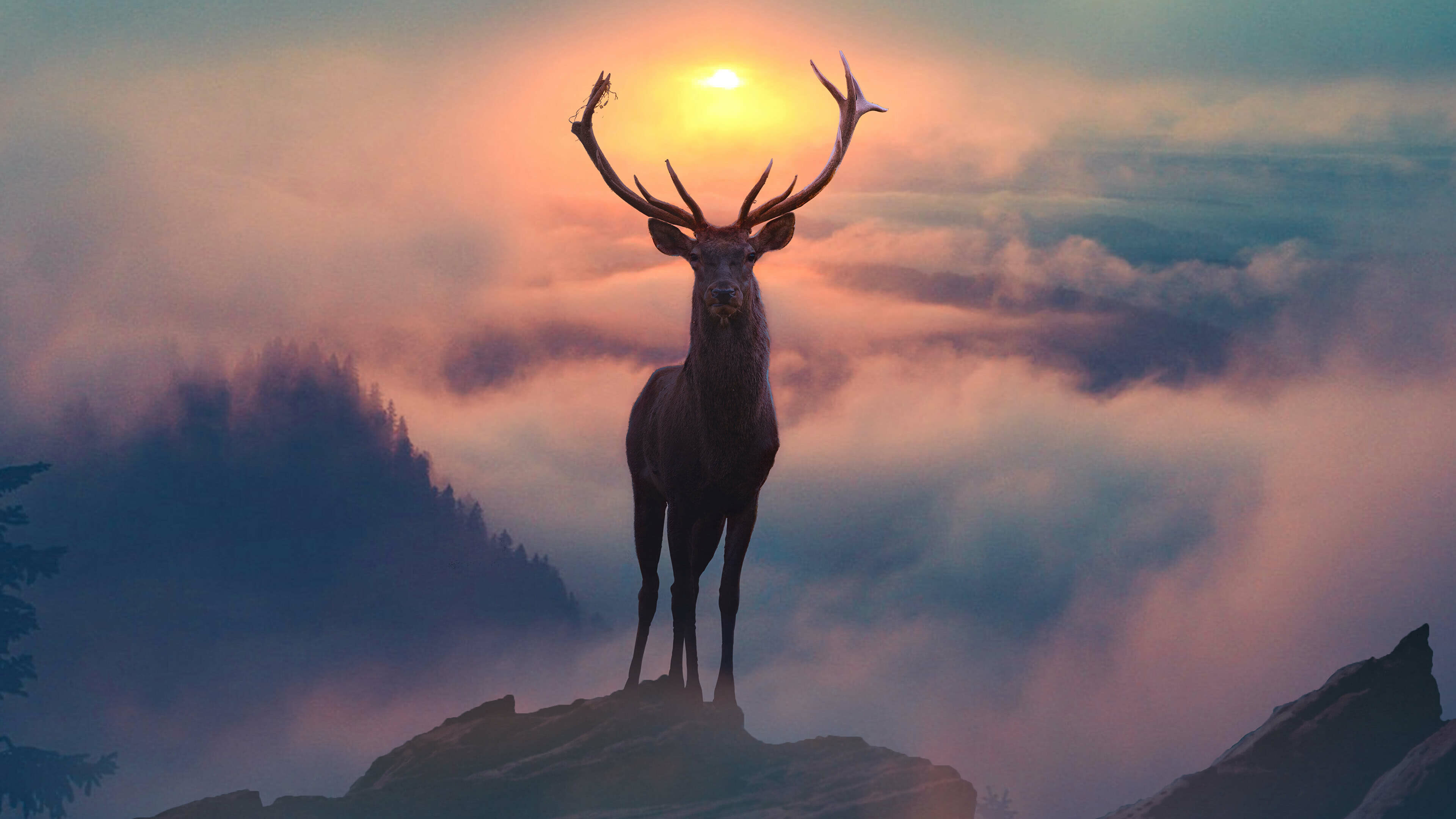 Reindeer: Mountain fog, Species vary in coat color and antler architecture. 3840x2160 4K Wallpaper.