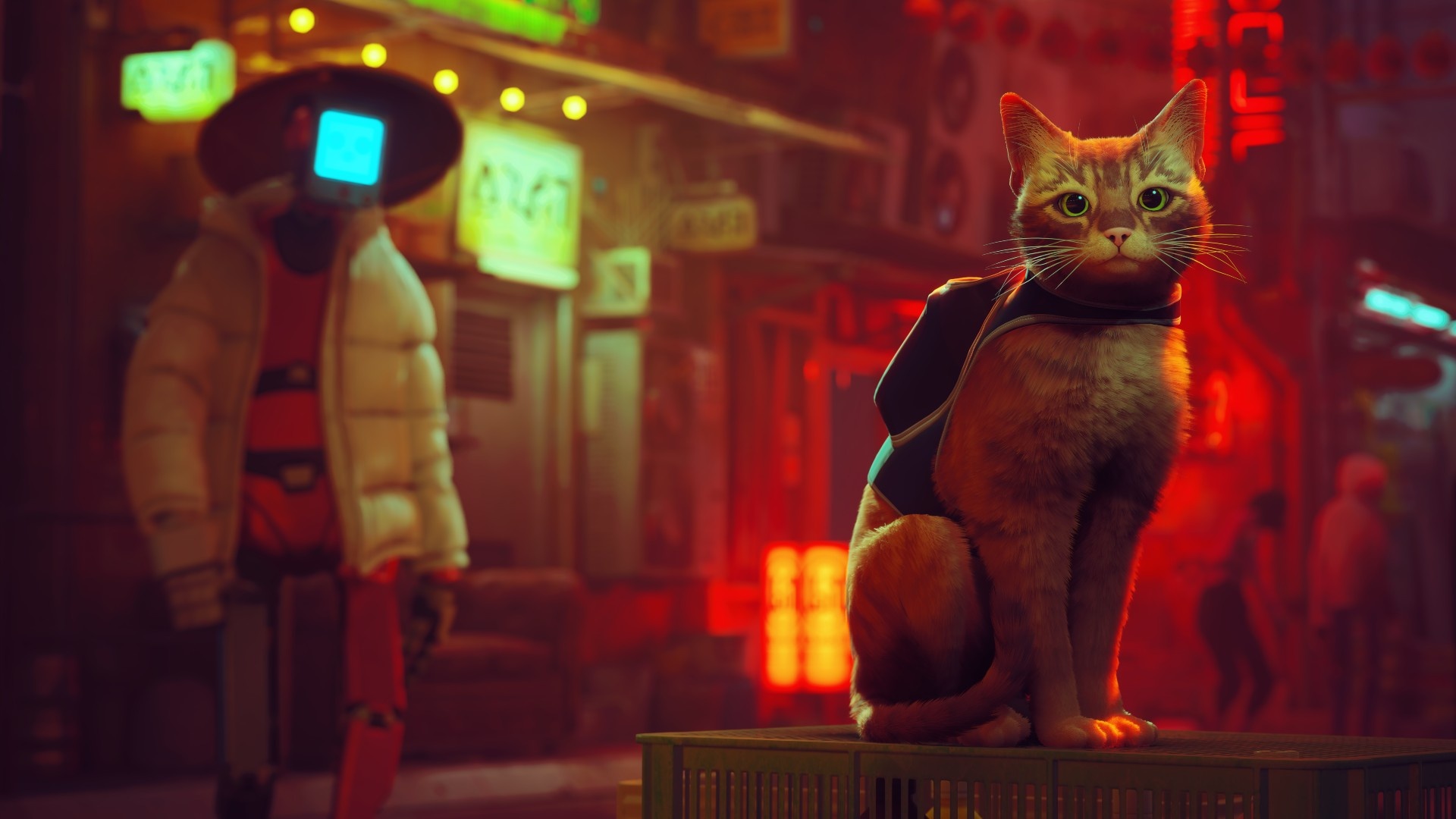 Stray (Game): A high-quality adventure, Feline character, Moving around as a cat. 1920x1080 Full HD Wallpaper.
