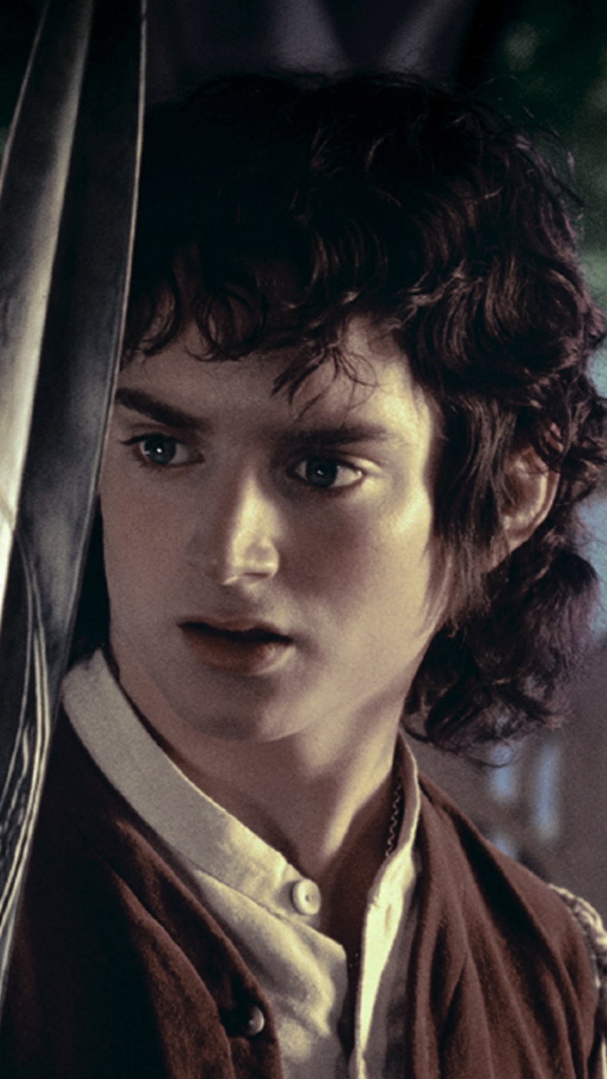 Elijah Wood's portrayal, Captivating performance, The Fellowship of the Ring, Movie magic, 1250x2210 HD Handy