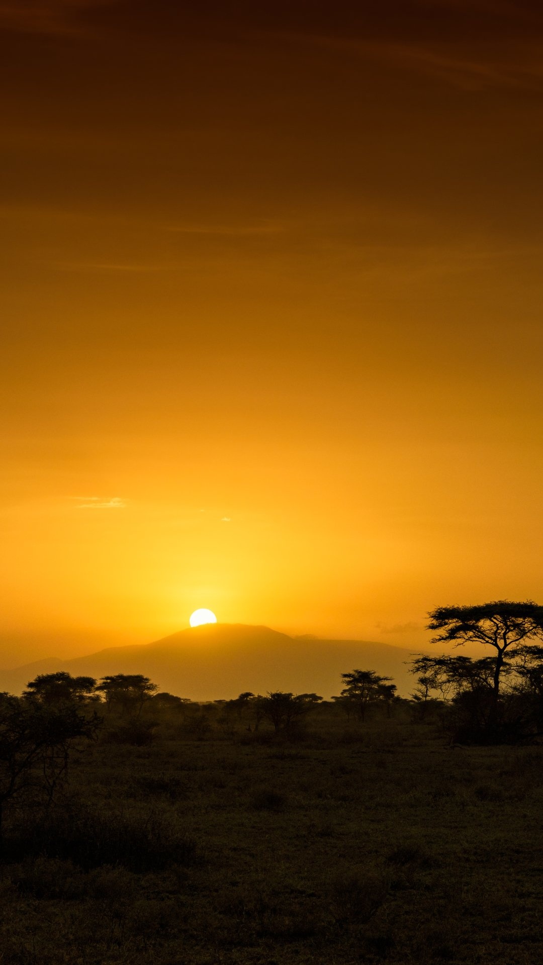 Earth sunrise, Breathtaking view, Natural wonders, Tanzania, 1080x1920 Full HD Handy