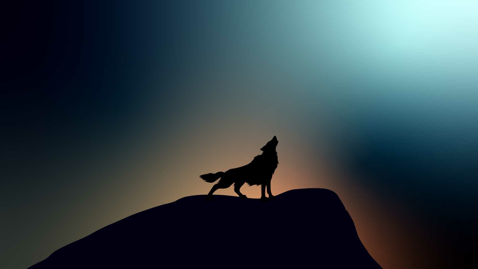 Wolf: Although closely related to domestic dogs, wolves do not show the same tractability as dogs in living alongside humans, being generally less responsive to human commands and more likely to act aggressively. 1920x1080 Full HD Wallpaper.