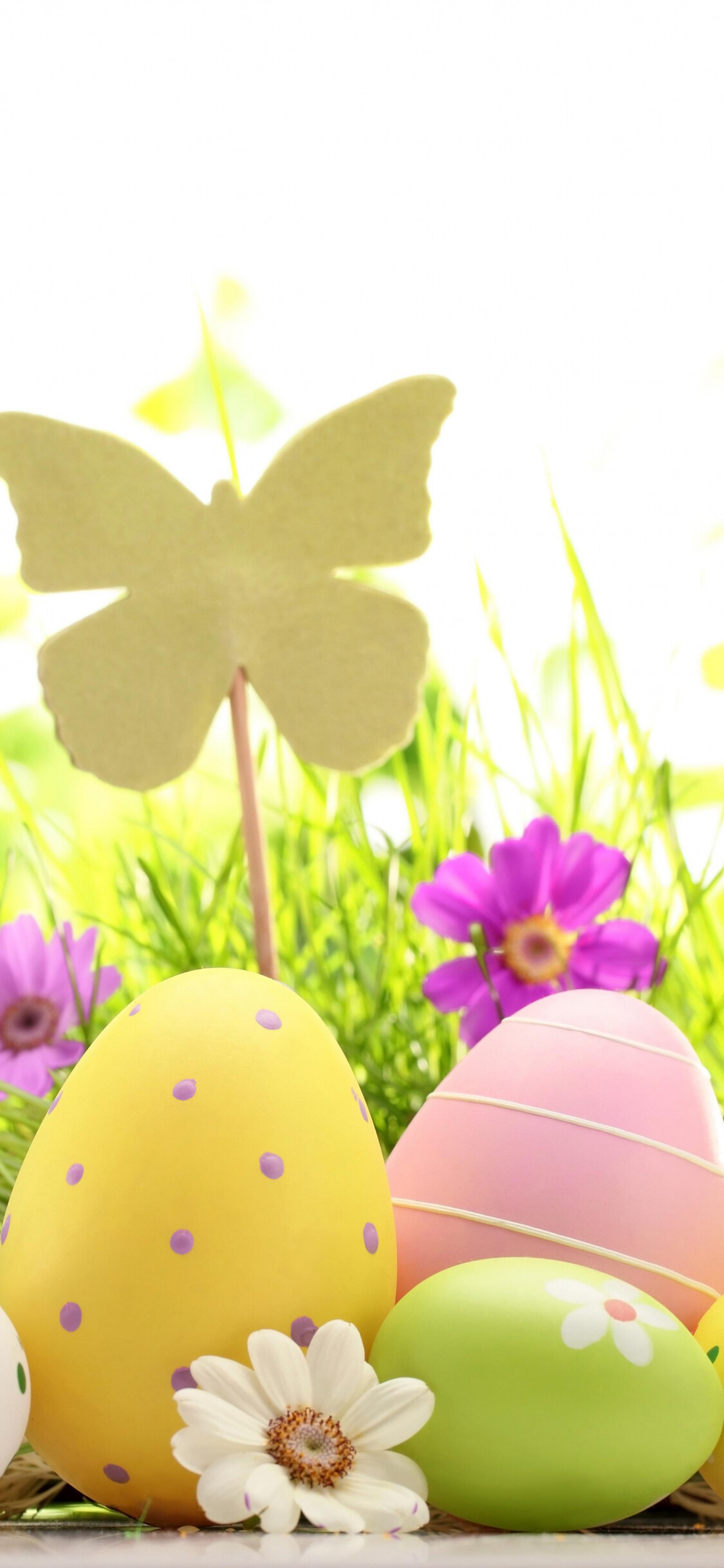 Easter: Following the holiday is a 50 day period called Eastertide. 1130x2440 HD Background.