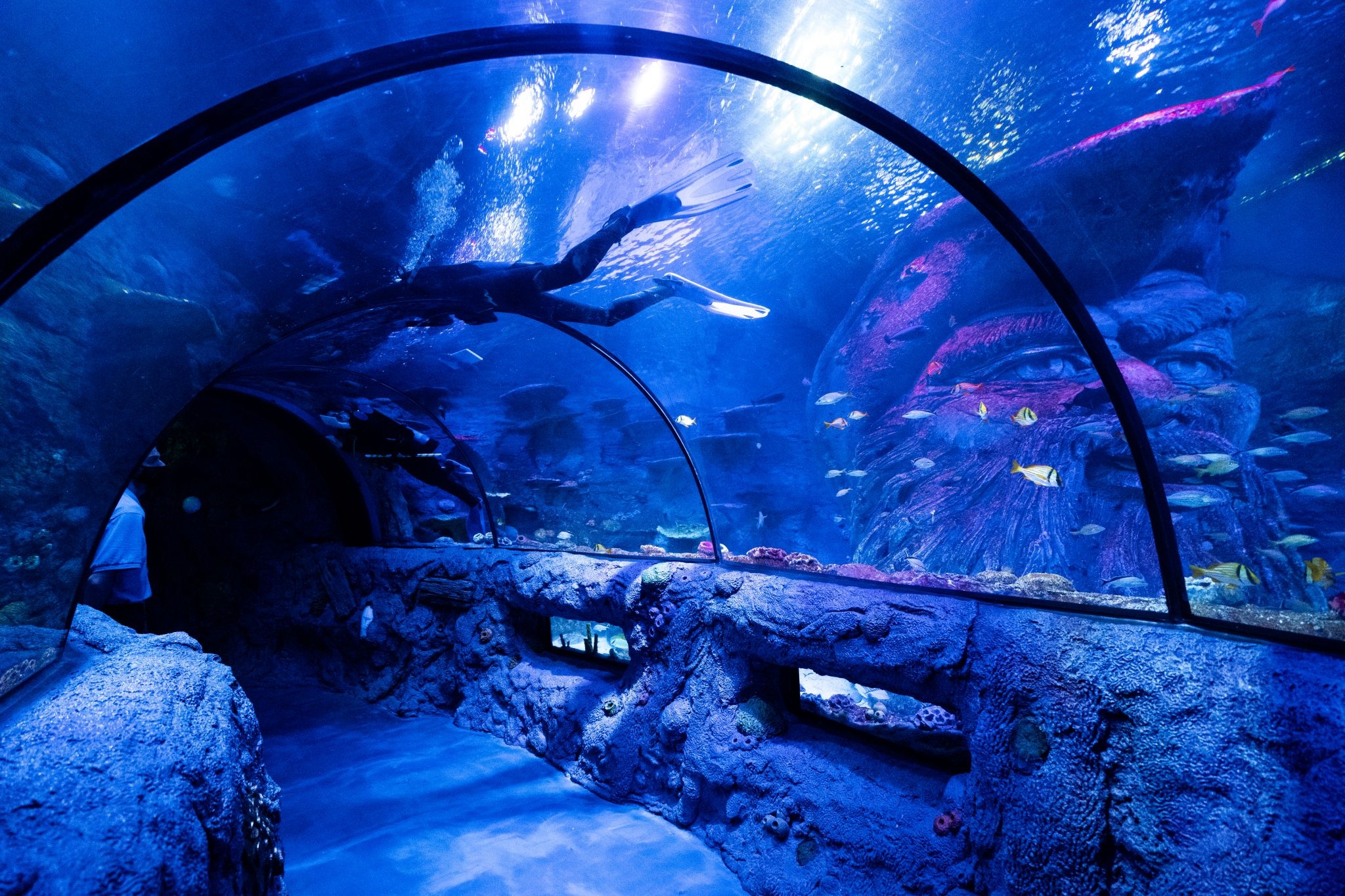 Aquarium, Sea life, The Shops at Rivercenter, San Antonio, Captivating aquatic experience, 2050x1370 HD Desktop