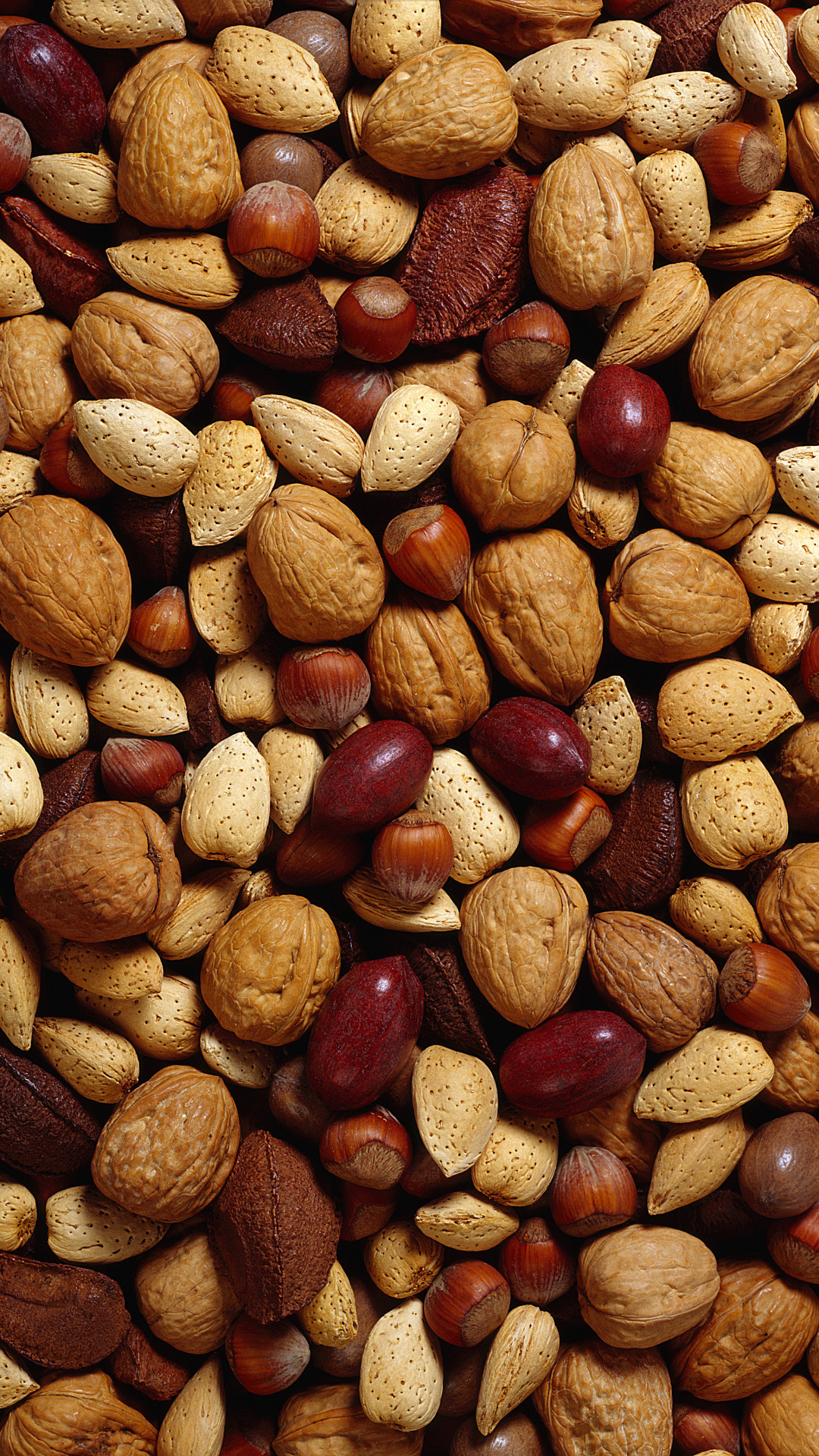 Nuts: A fruit with a woody pericarp, Kernel. 1080x1920 Full HD Background.