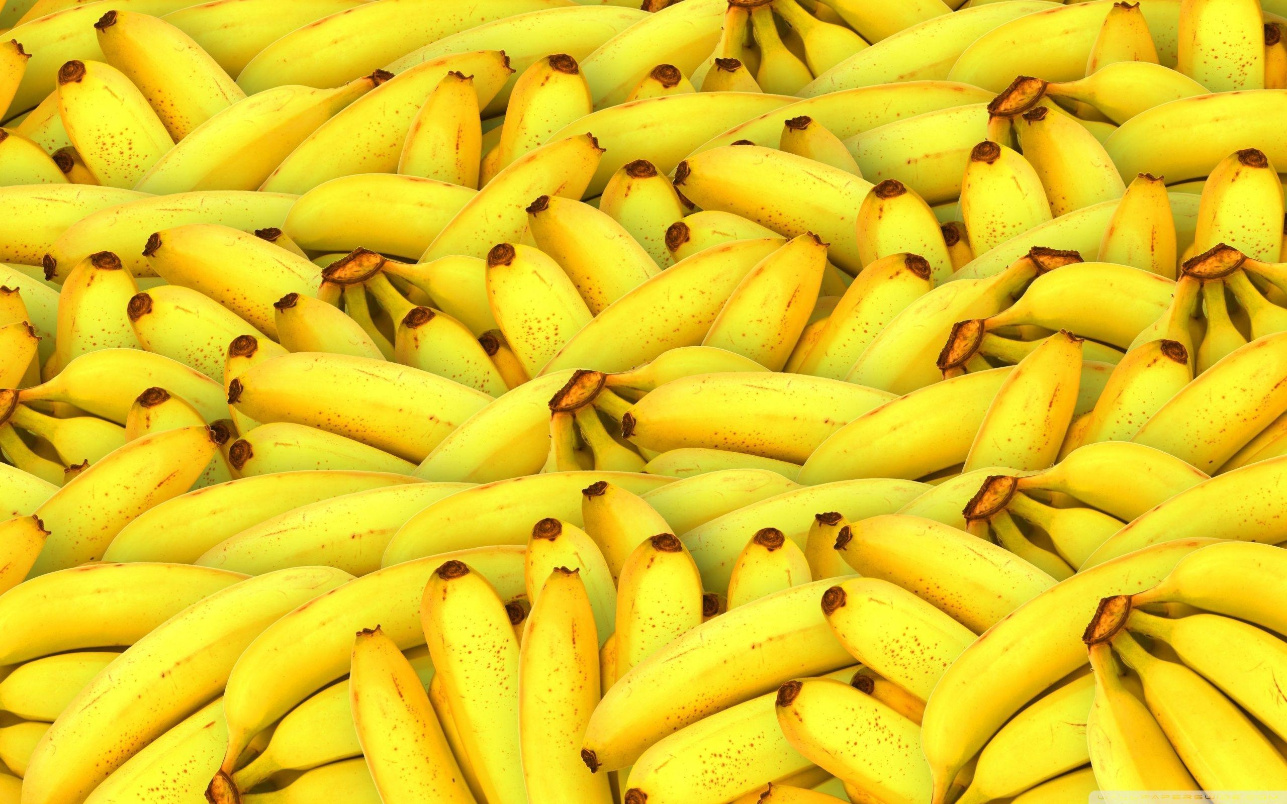Banana beauty, Vibrant colors, Exotic fruit, Tropical delight, 2560x1600 HD Desktop
