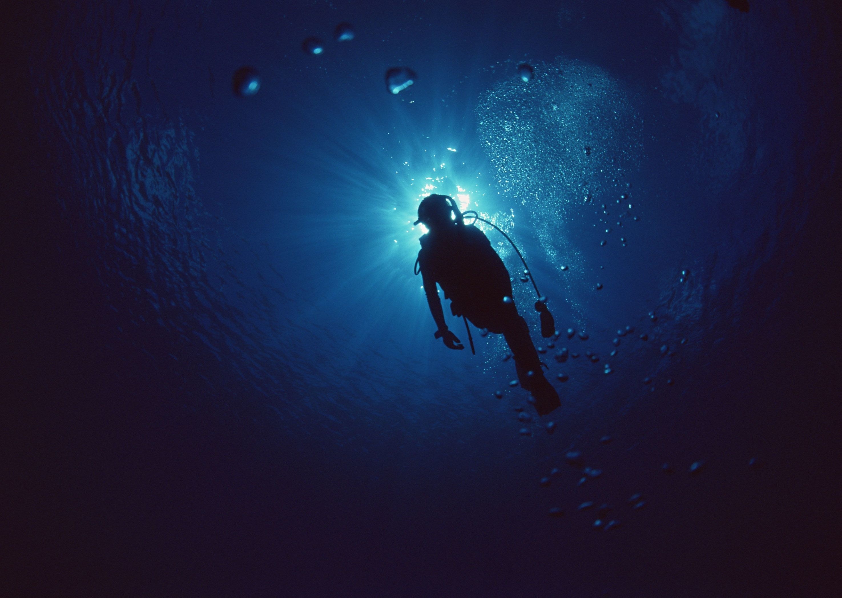 Diving: A diver equipped with an open circuit scuba - the most popular set for recreational purposes. 2950x2100 HD Background.
