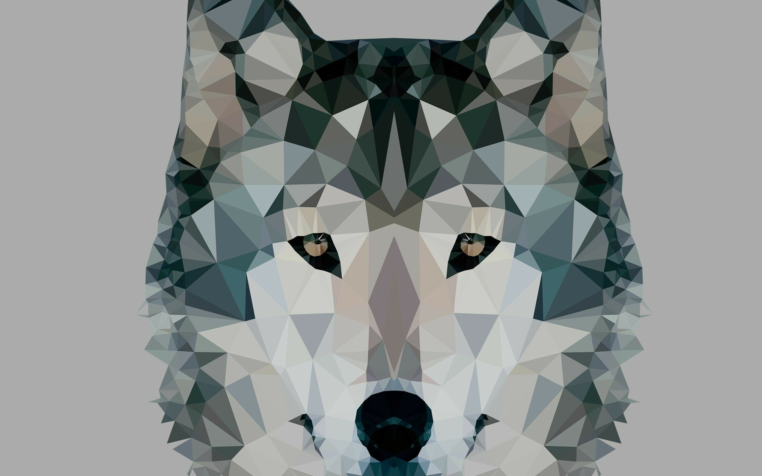 Wolf: Abstract, Mammal, Art, Carnivore. 2560x1600 HD Wallpaper.