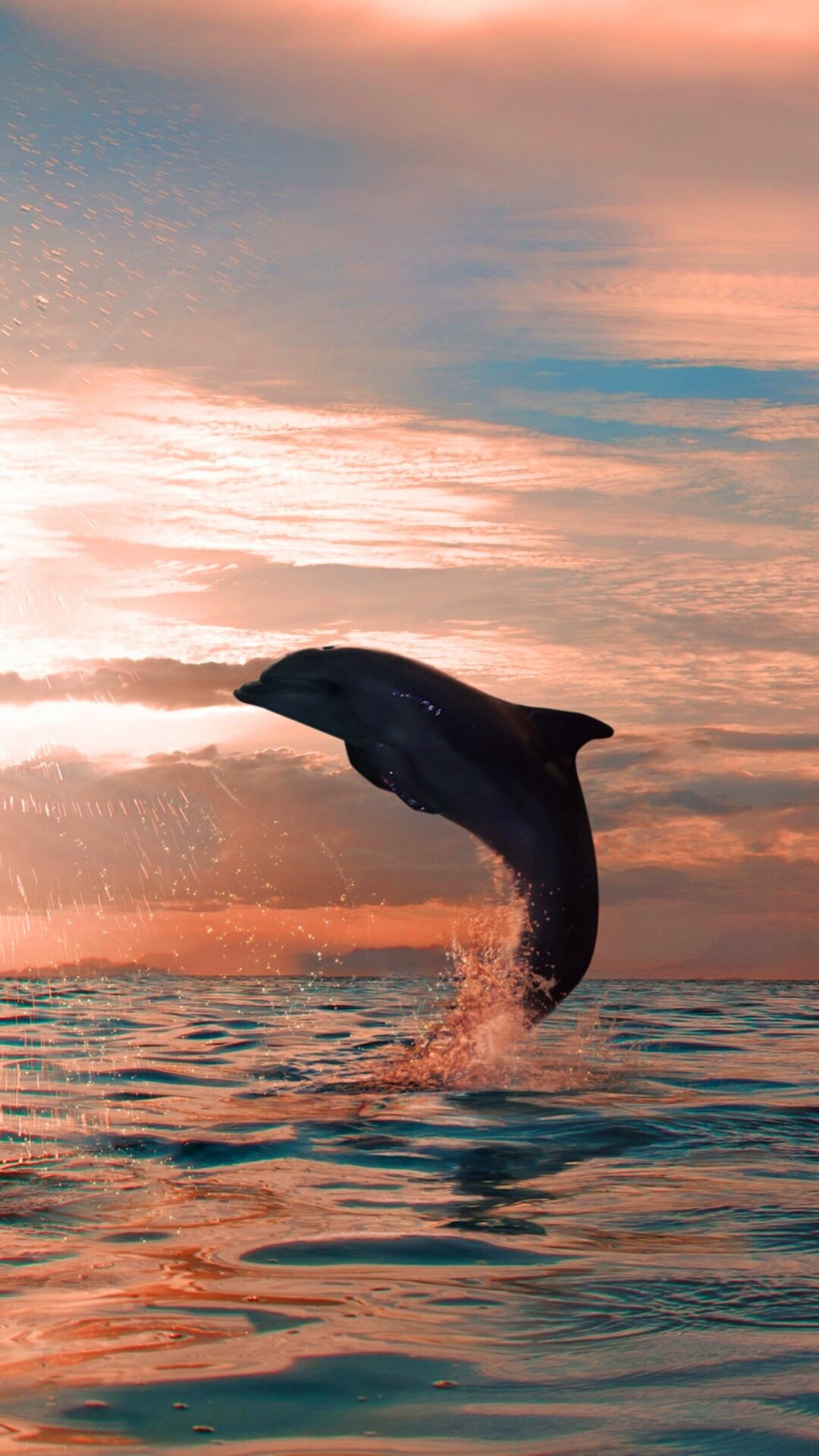 Dolphin: It has become the subject of scientific studies because of its intelligence and ability to communicate by using a range of sounds and ultrasonic pulses, Aquatic mammal. 1080x1920 Full HD Wallpaper.