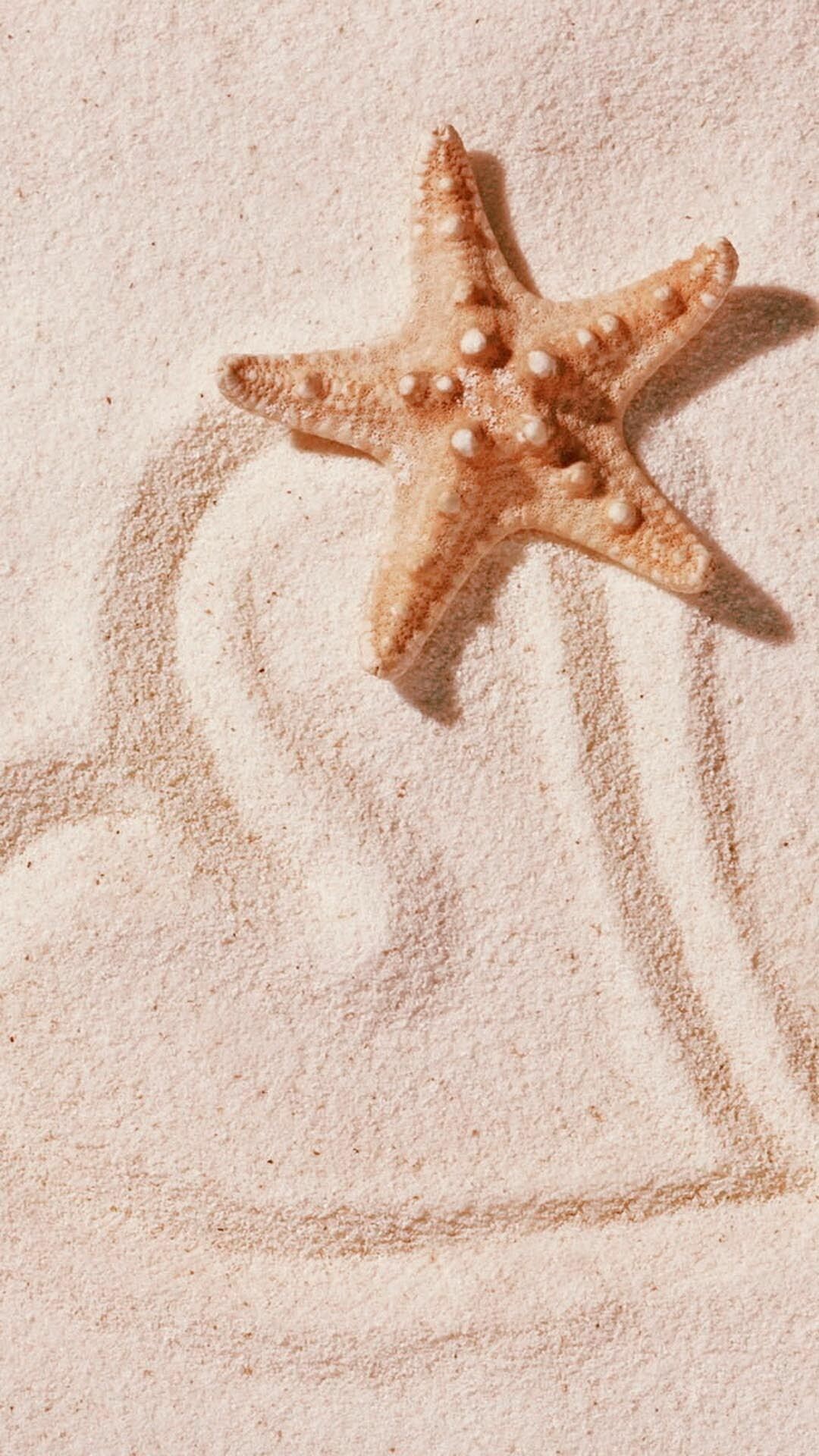 Starfish: couple wallpaper black wallpaper christmas wallpaper simple wallpaper 4K -  Best of Wallpapers for Andriod and ios. 1080x1920 Full HD Wallpaper.