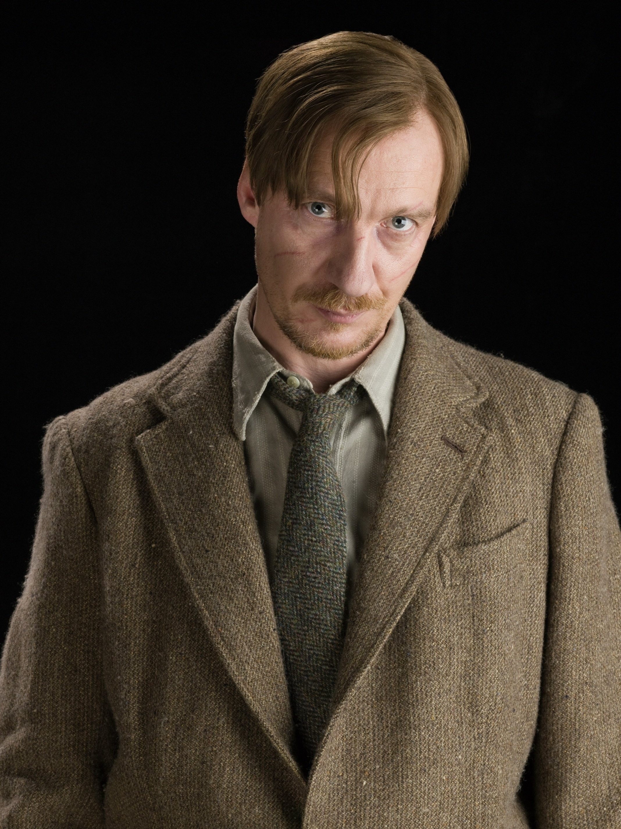 Remus Lupin, Queer narrative, Hijacked storyline, Representation, 2140x2850 HD Phone