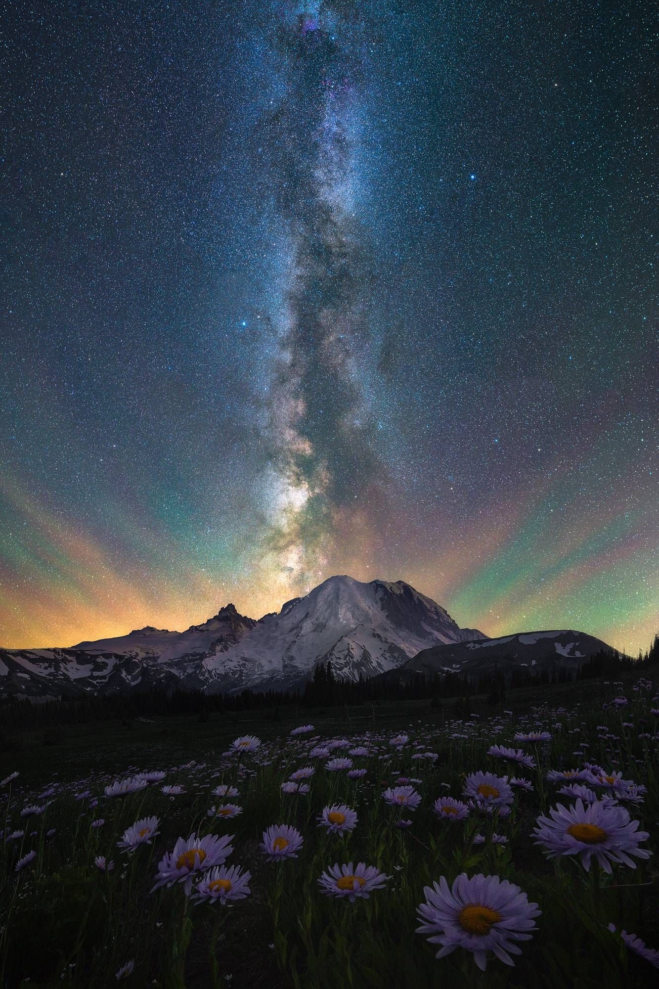 Mount St. Helens, Travels, Night sky, Field of wildflowers, 1340x2000 HD Phone