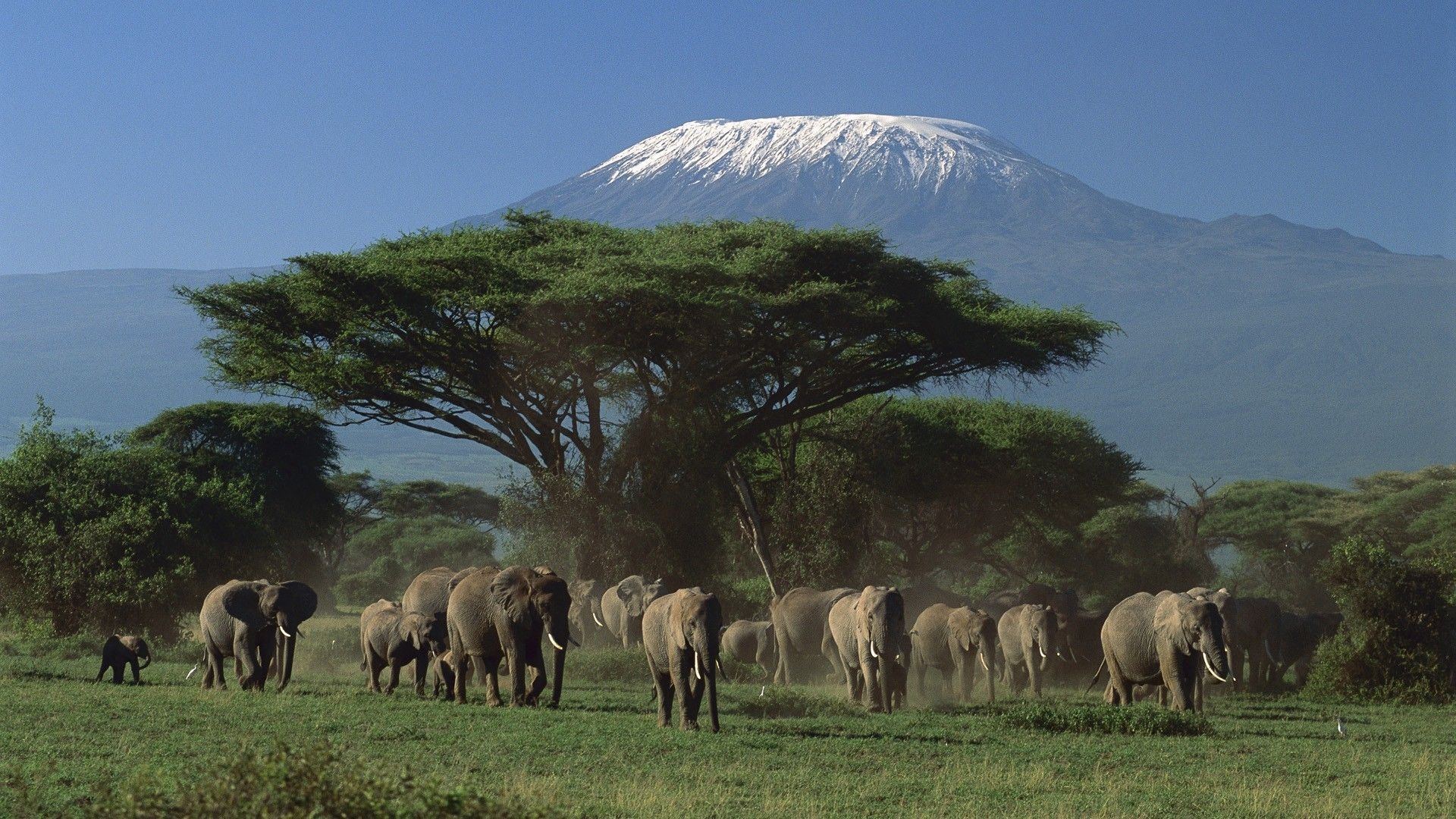 Mount Kenya wallpapers, Majestic peak, Alpine beauty, Nature's grandeur, 1920x1080 Full HD Desktop