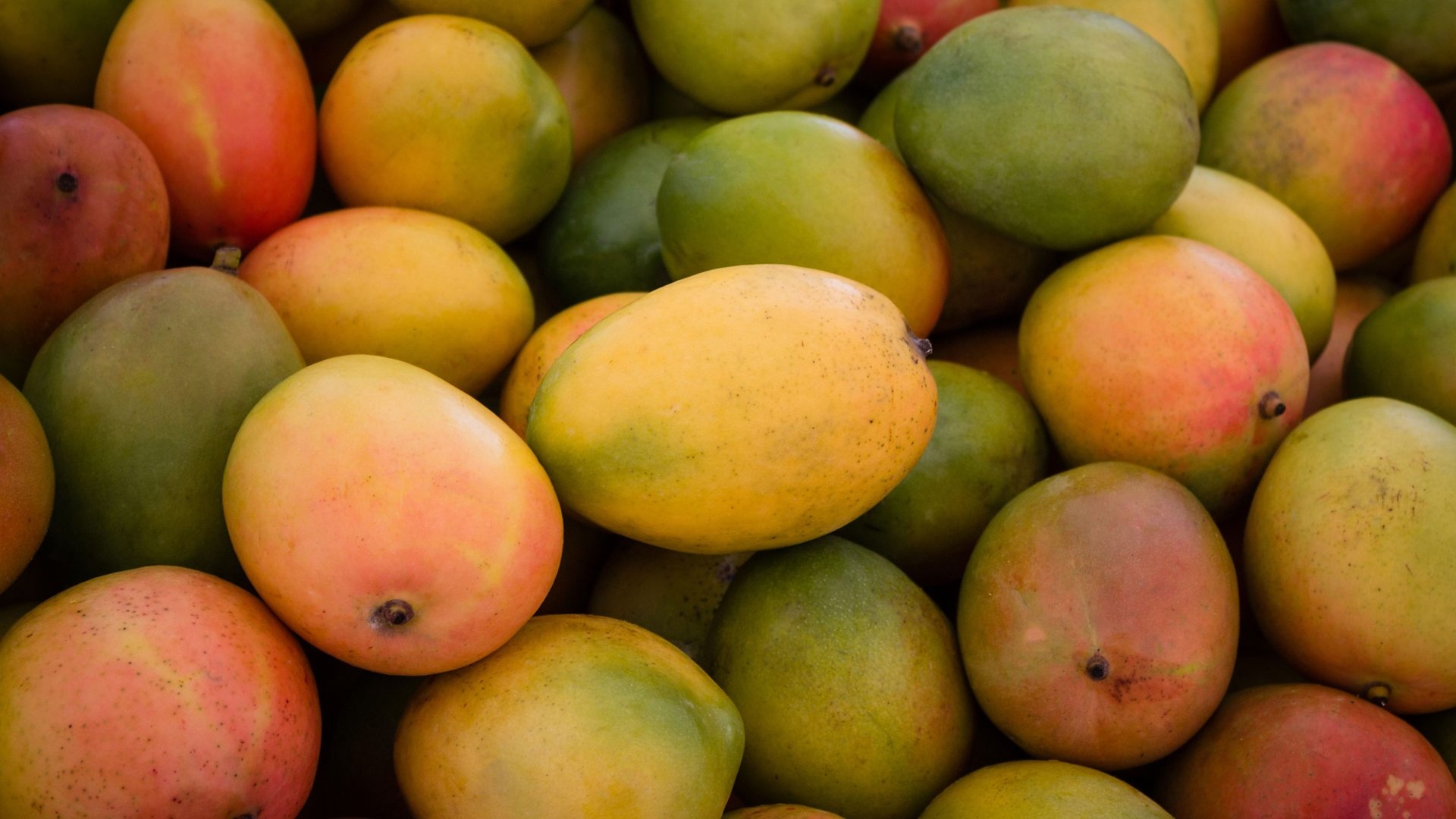 Mango: Harvested while they are green but perfectly matured on the tree. 1920x1080 Full HD Background.