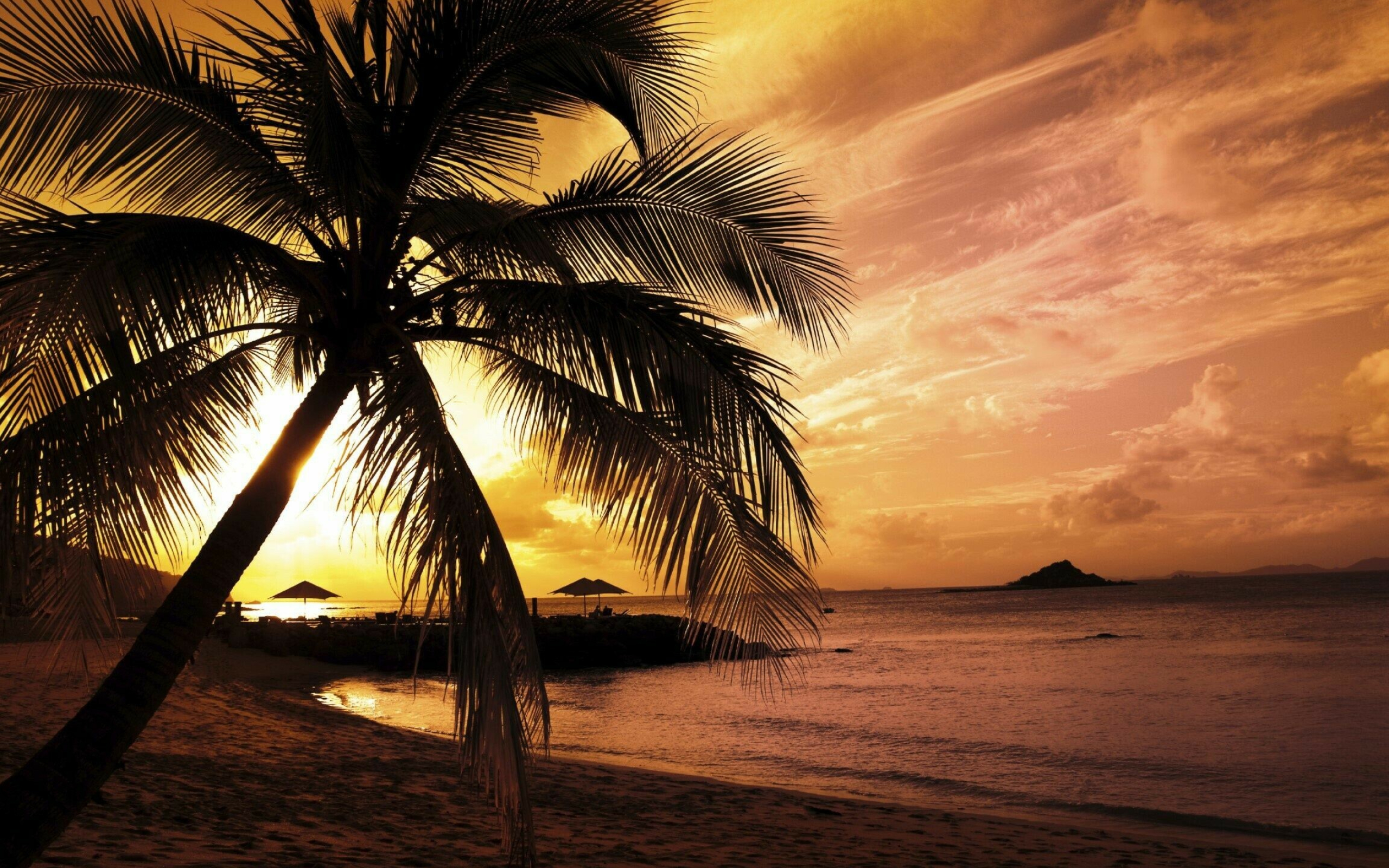 Sunset: The time of day when the sun disappears, Beach. 2560x1600 HD Wallpaper.