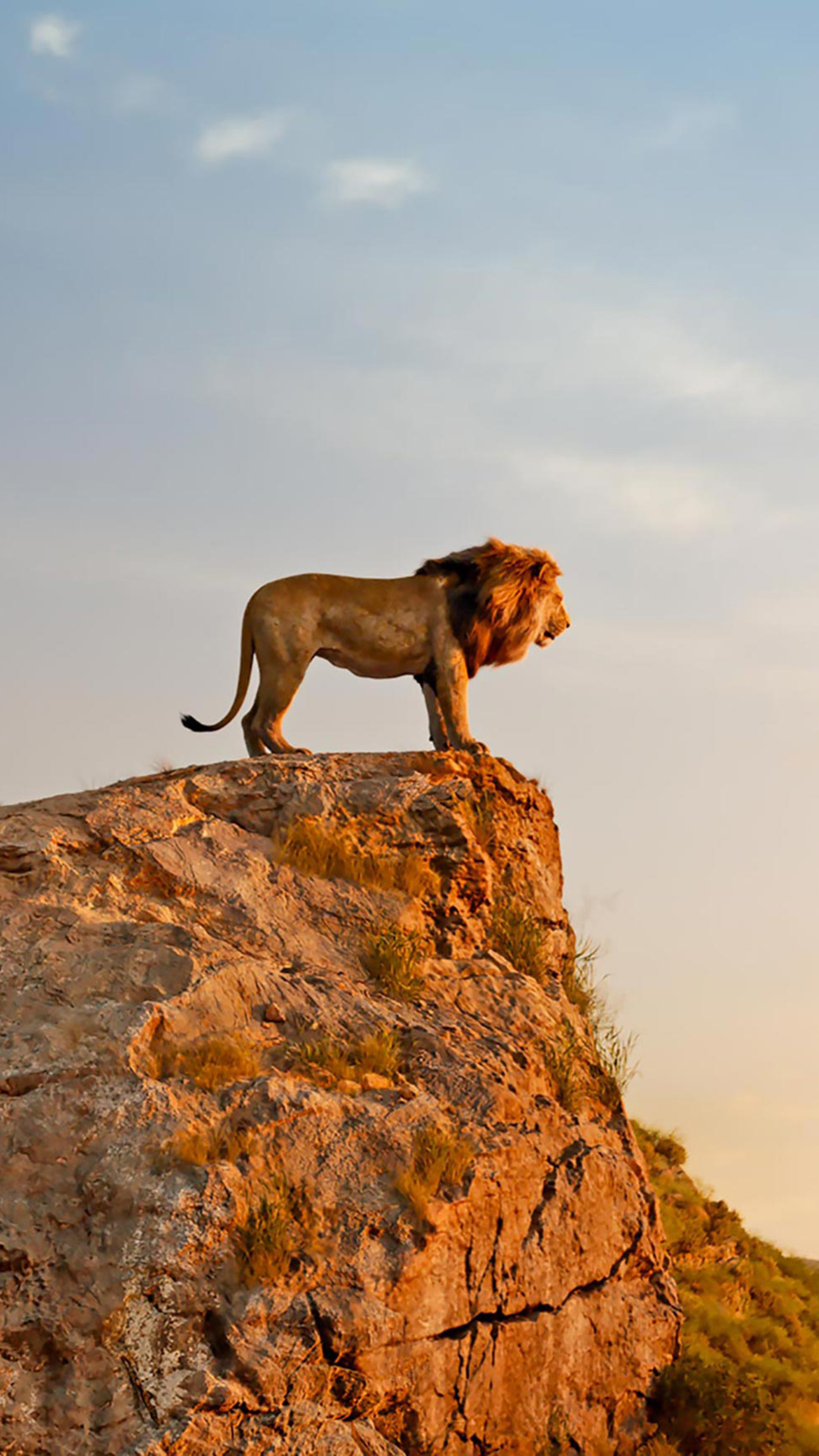 The Lion King, Entertainment Weekly feature, Sony Xperia X, Commanding visuals, 2160x3840 4K Phone