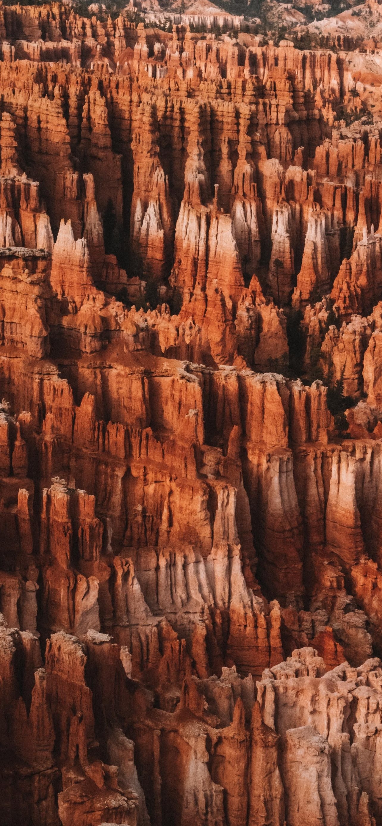 Bryce Canyon National Park, Best iPhone wallpapers, High definition, Home screen, 1290x2780 HD Phone