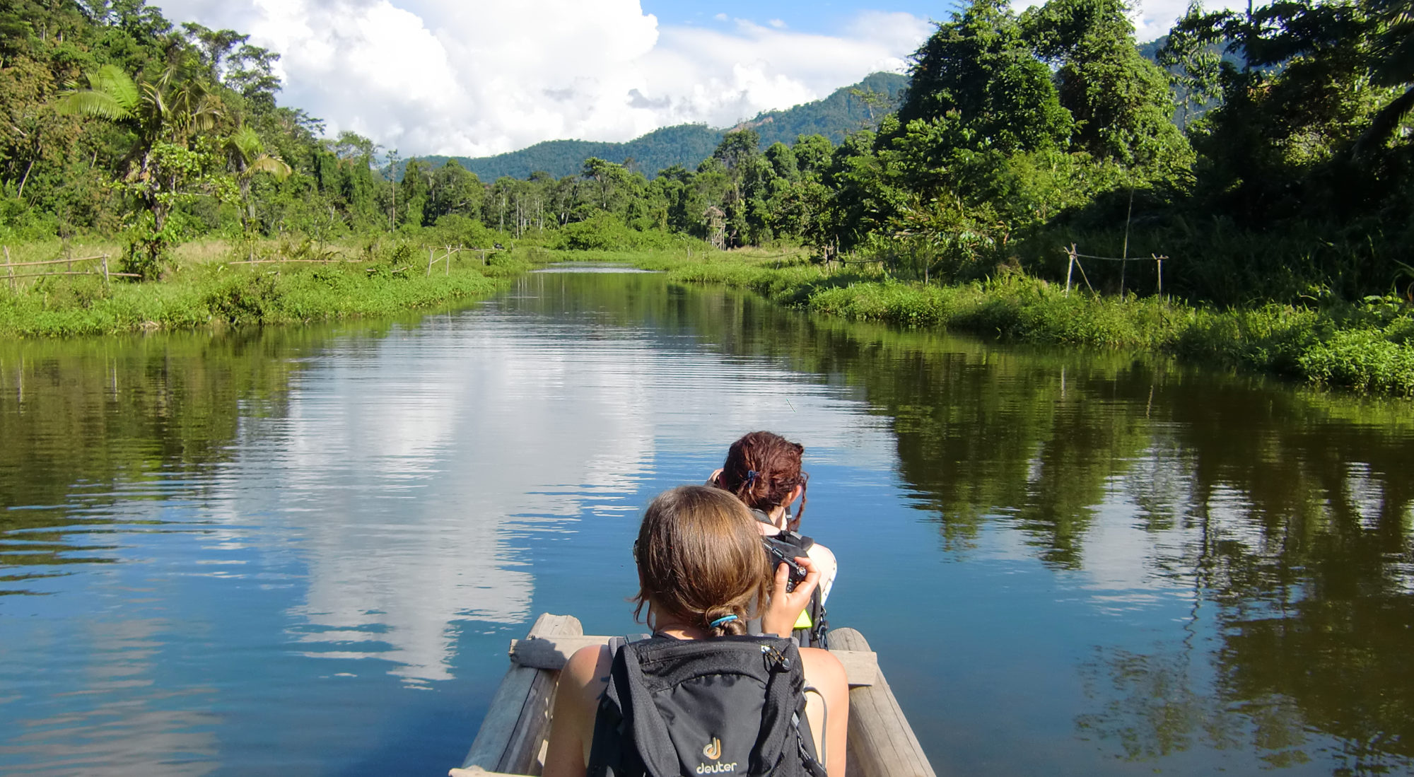 Manu National Park, Volunteer opportunities, Amazon rainforest, Ecotourism, 2000x1100 HD Desktop