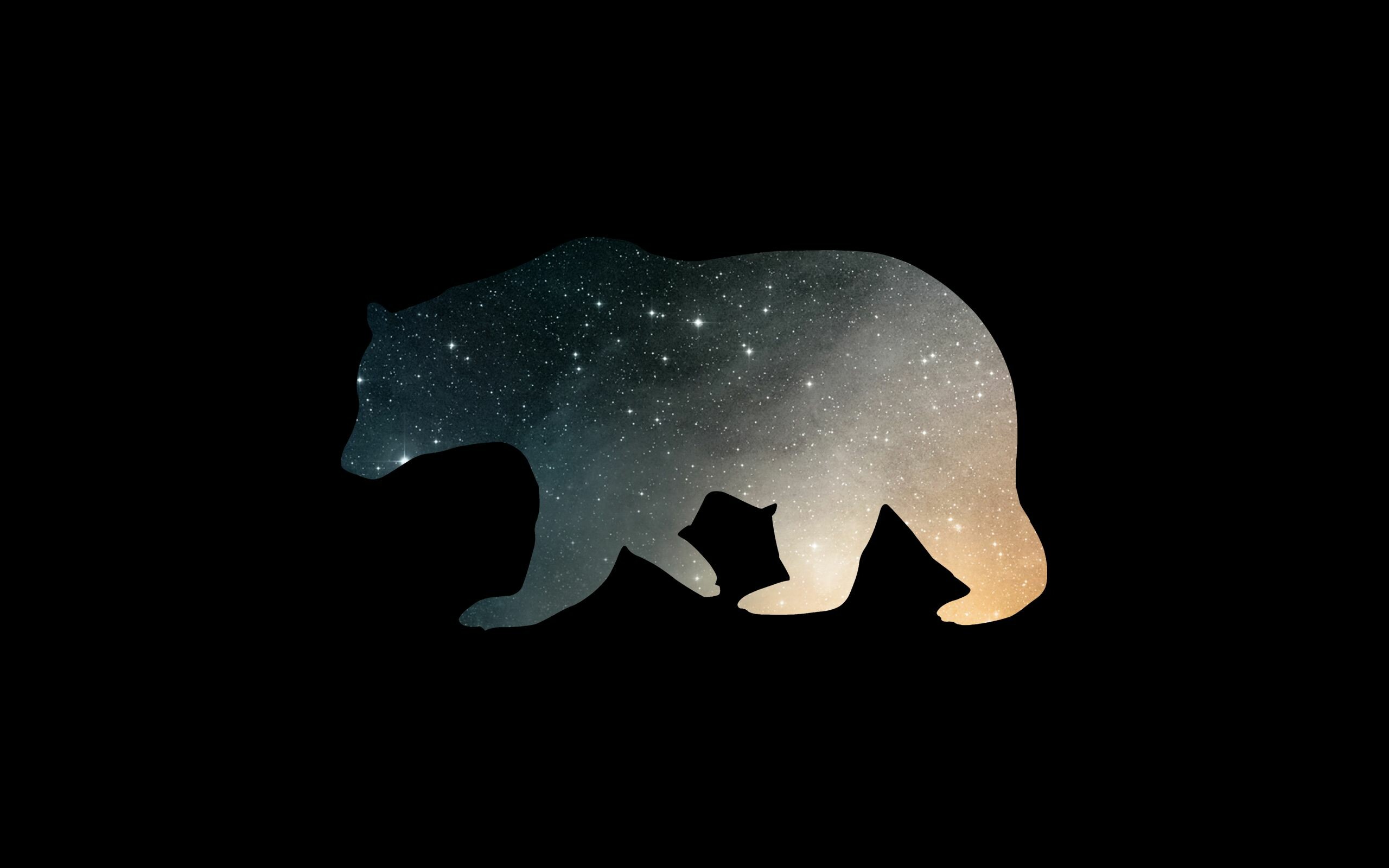 Bear: Large, strong omnivores, Minimalistic. 2560x1600 HD Wallpaper.