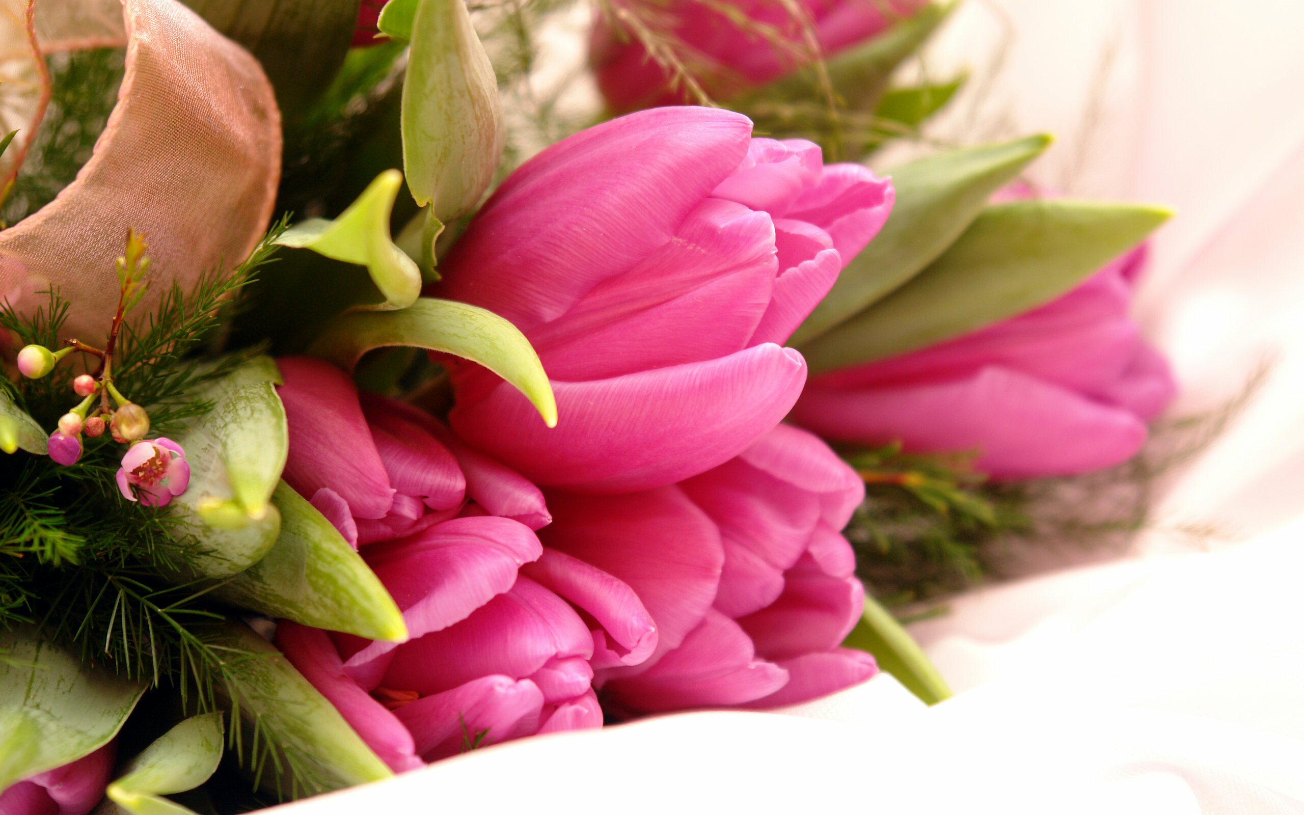 Flower Bouquet: Tulips, Floral design, Flowering plants. 2560x1600 HD Wallpaper.