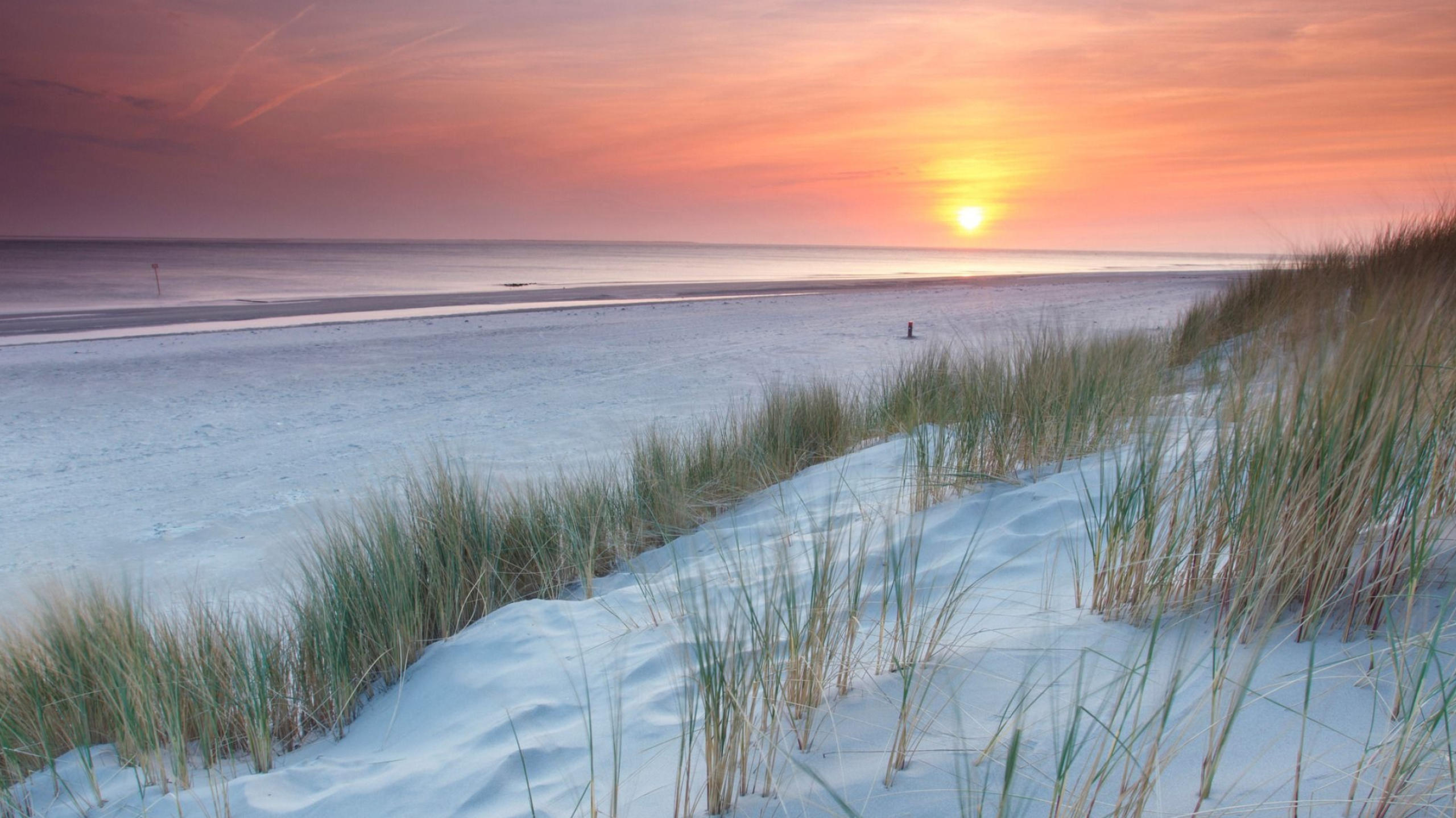 Sunset over Ameland, Netherlands, Scenic landscape, 2560x1440 HD Desktop