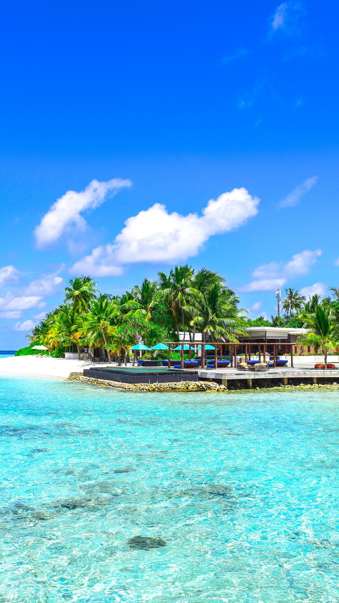 Palm-fringed beaches, Ocean serenity, Sun-kissed bliss, Tropical escape, 1080x1920 Full HD Phone