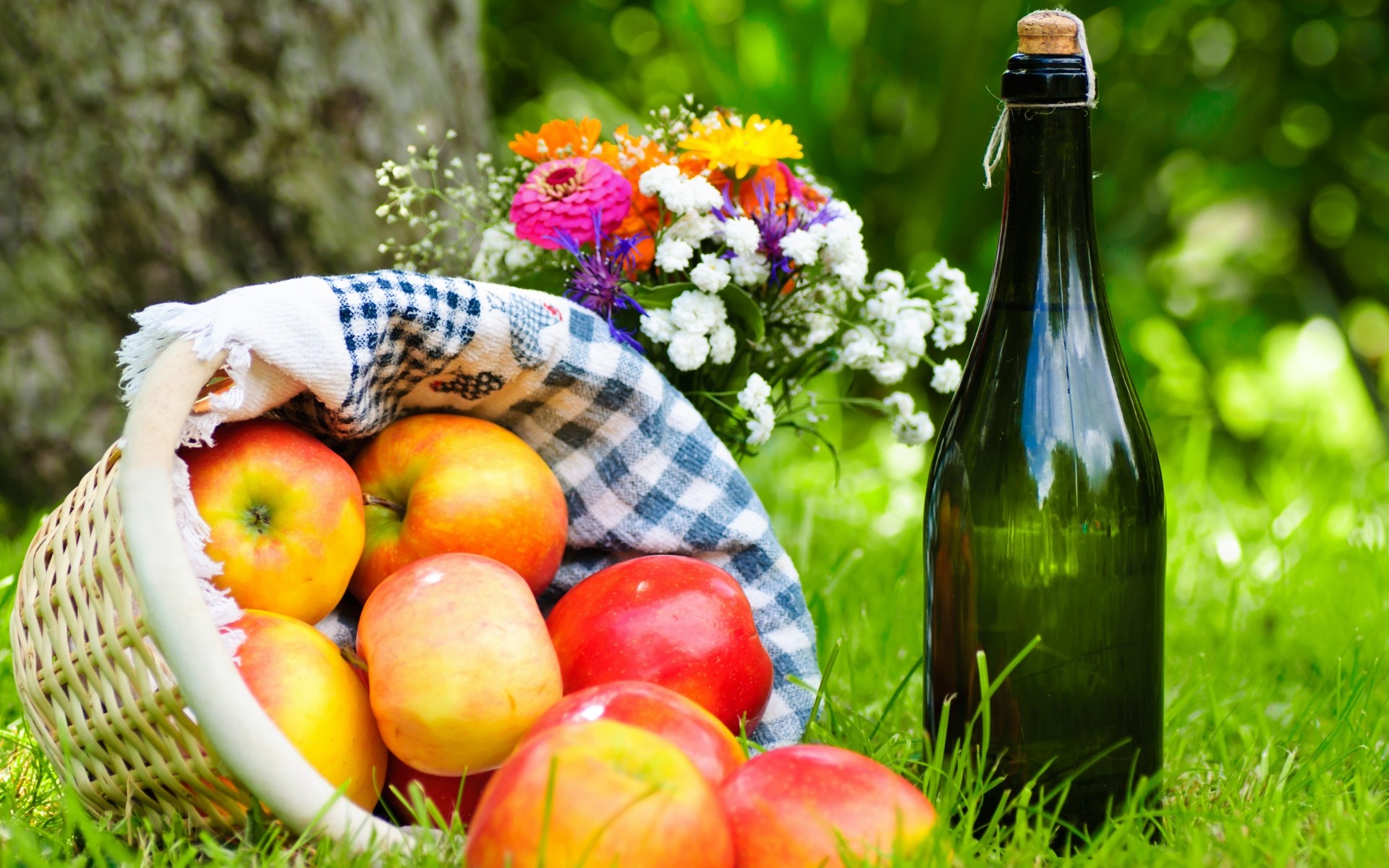 Apple bouquet picnic, Fruit grass life, 1920x1200 HD Desktop