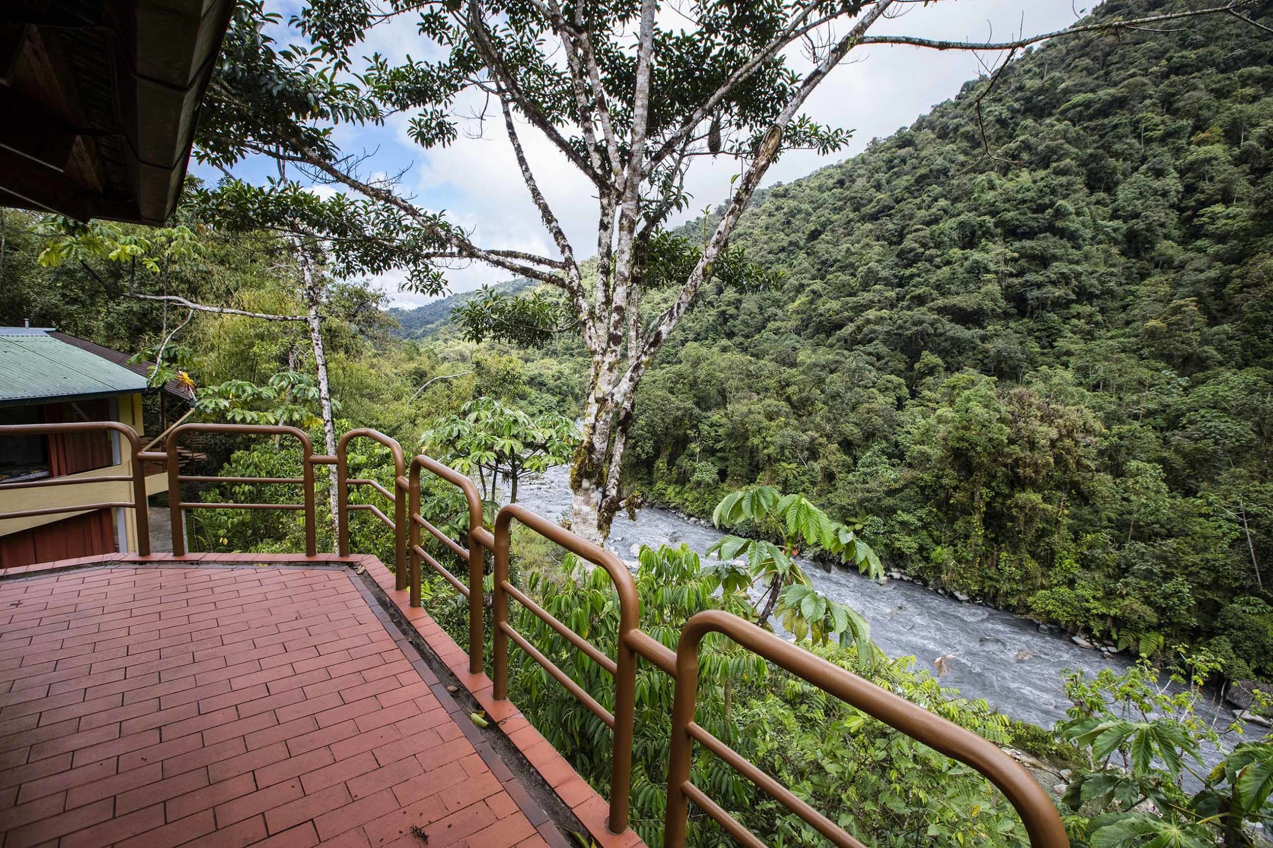 Remote Amazon rainforest, Visit, Corner of the rainforest, 2560x1710 HD Desktop