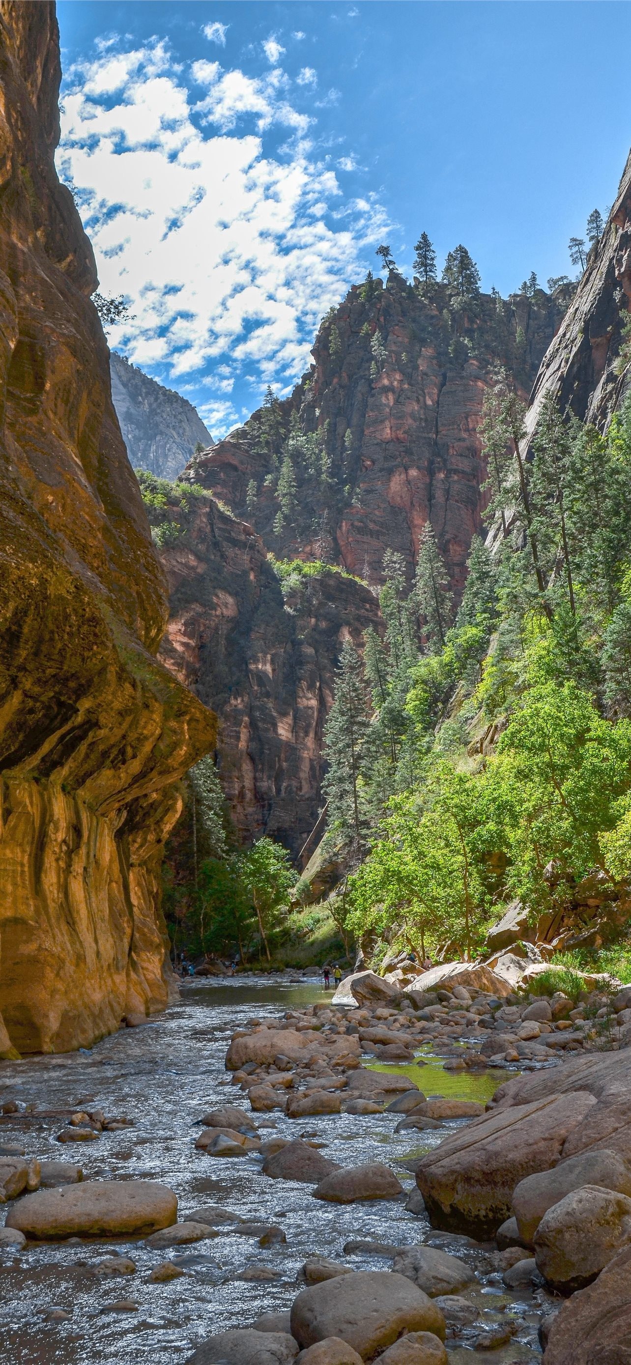 Zion National Park, iPhone HD wallpapers, Best, UHD, 1290x2780 HD Phone
