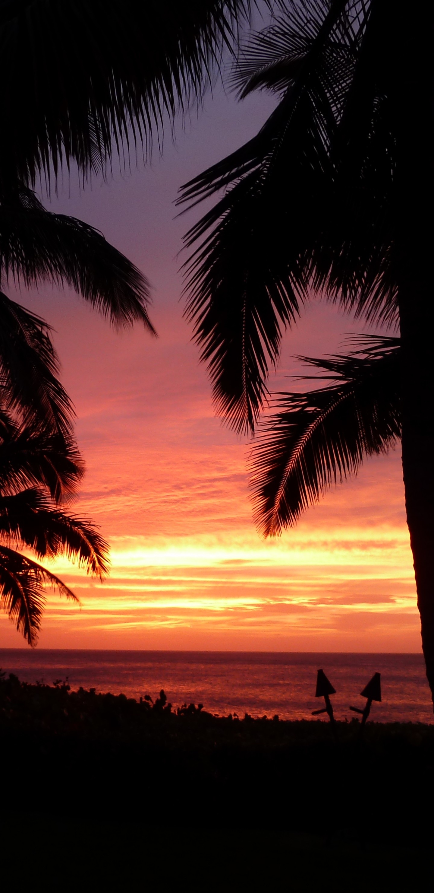 Hawaiian sunset, Heavenly beauty, Nature's farewell, Warm colors, 1440x2960 HD Handy