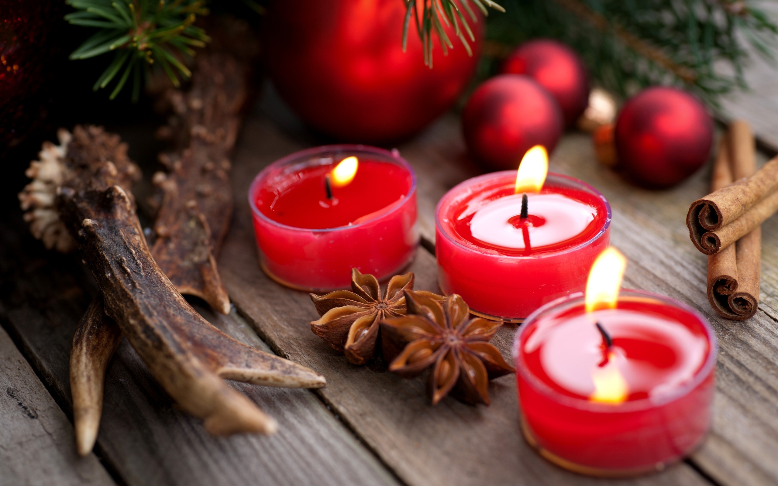 Anise Plant, Aromatic candle setting, Red accents, Warm ambiance, 2560x1600 HD Desktop