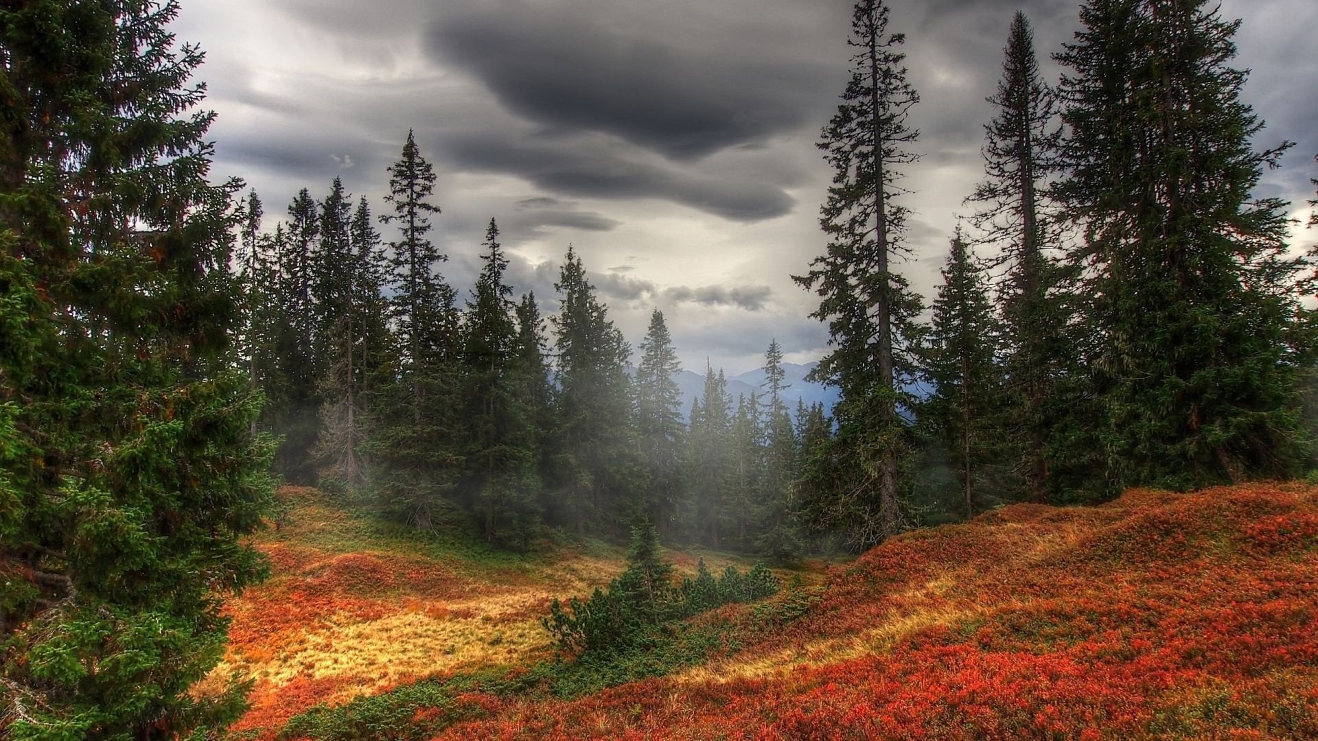 Fall fog, Nature's veil, Mysterious atmosphere, Autumn ambiance, 1920x1080 Full HD Desktop