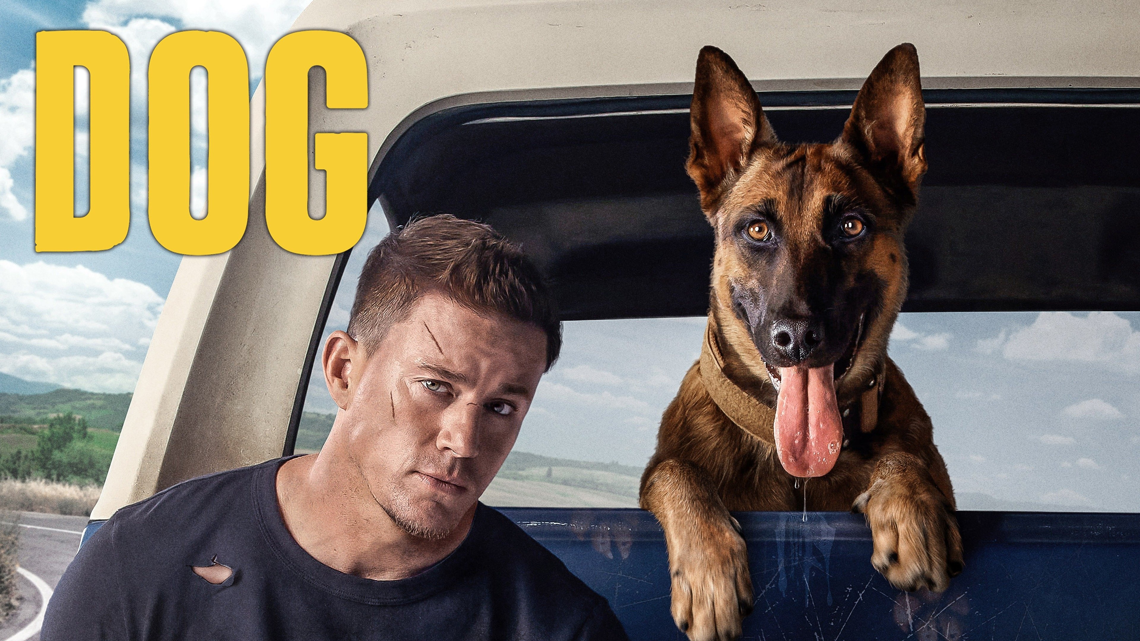 Dog (Movie 2022), Watch full movie online, 3840x2160 4K Desktop