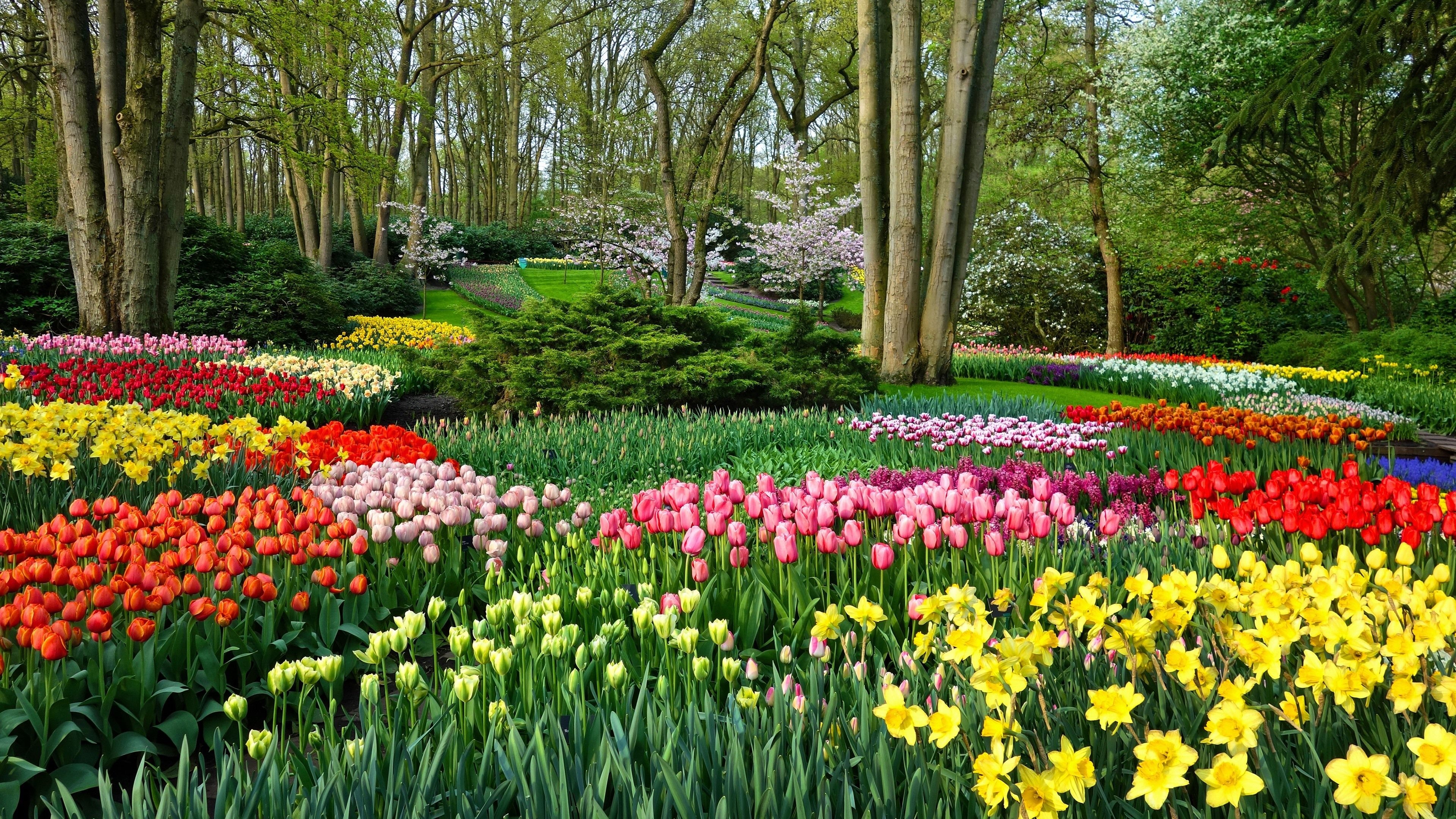 High-resolution gardens, Rich colors, Detailed beauty, Immersive experience, 3840x2160 4K Desktop