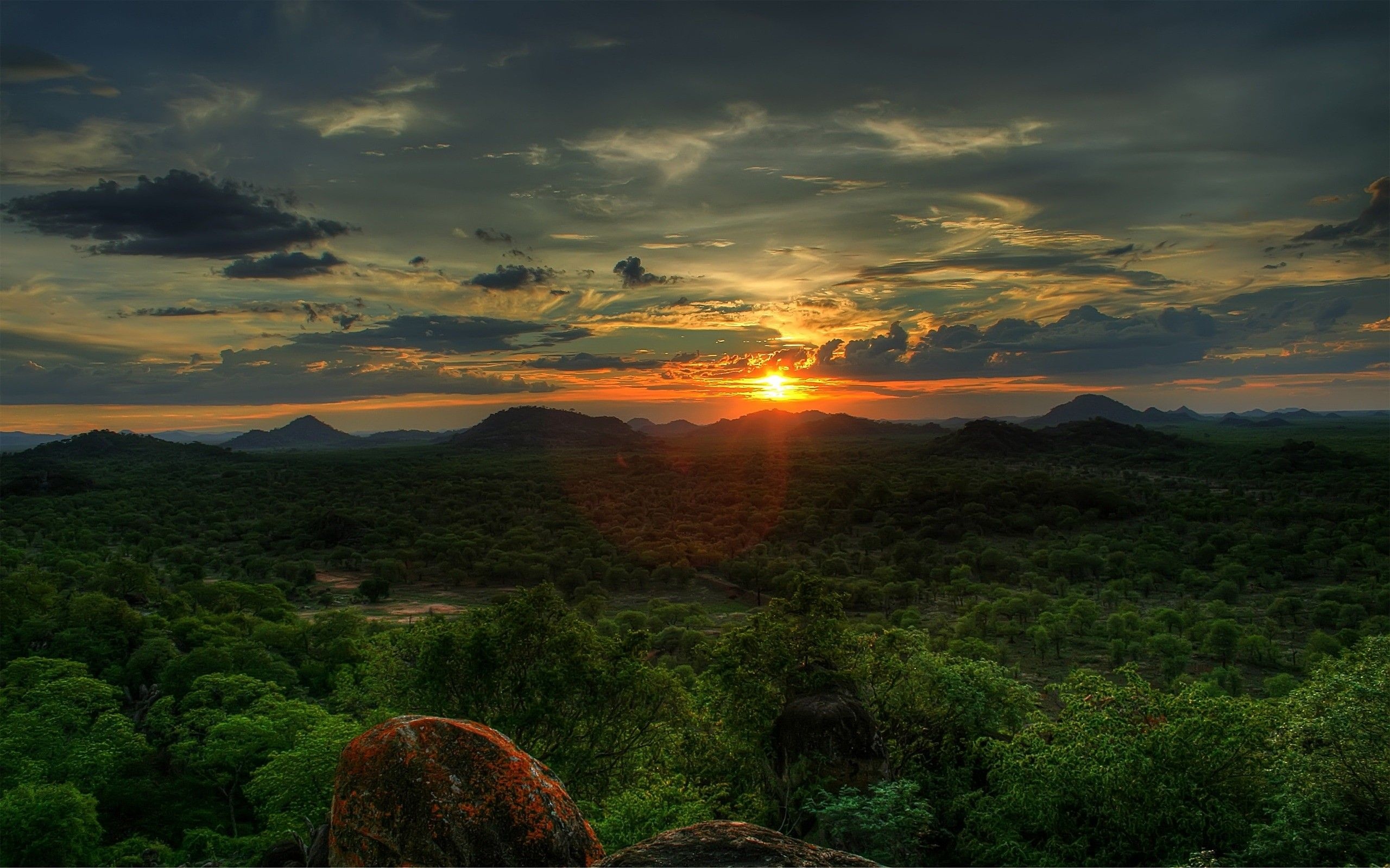 Forest sunset, African sunset, Serene beauty, Nature's masterpiece, 2560x1600 HD Desktop