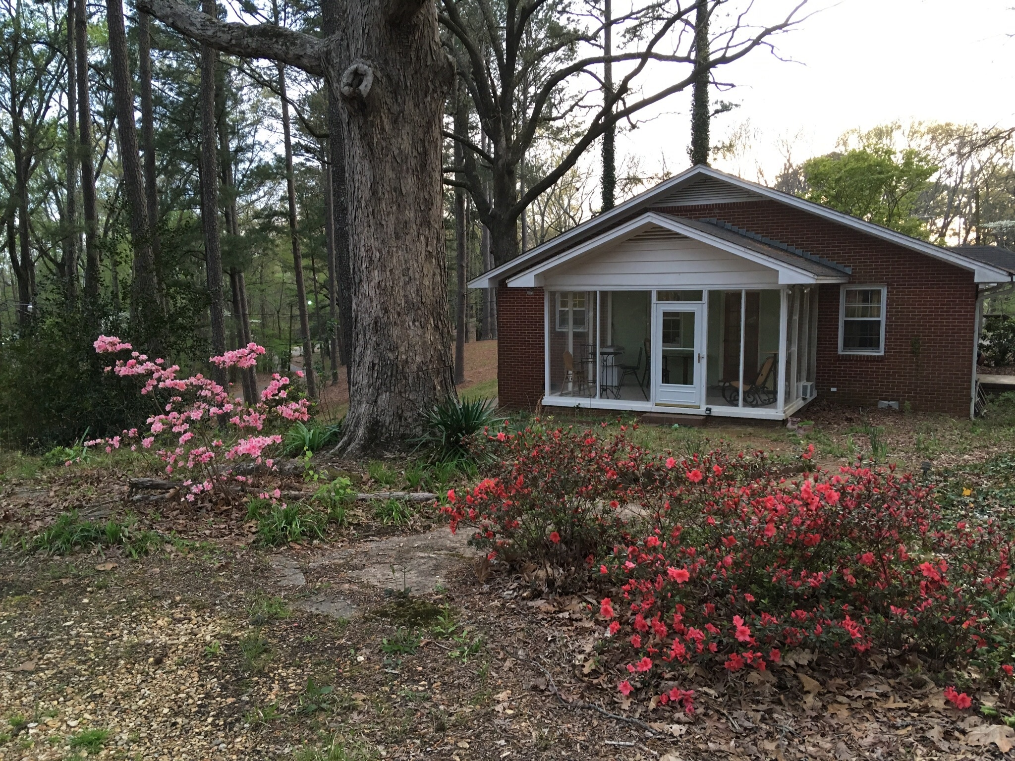 Tupelo, Mississippi, Shady Acres Retreat, Near Elvis Presley's birthplace, 2050x1540 HD Desktop