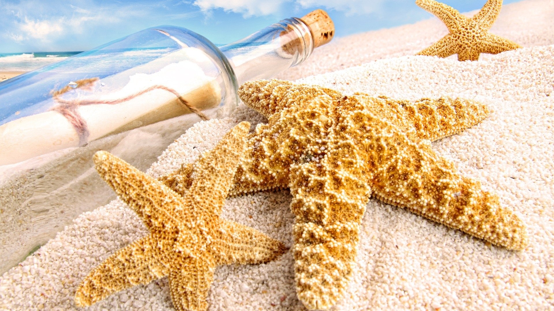 Sea Star: Message bottle, Average lifespan of species is 35 years. 1920x1080 Full HD Background.
