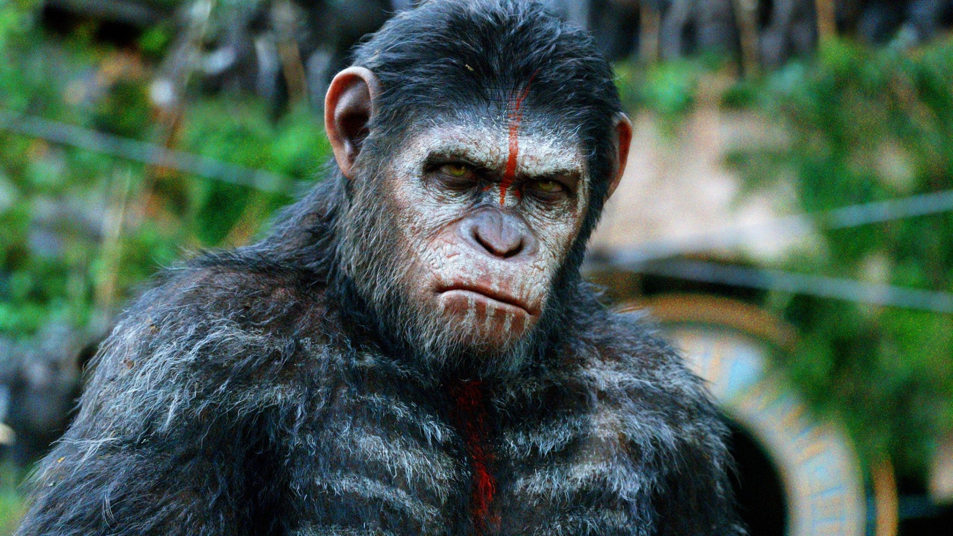 Planet of the Apes, Free download, HD wallpapers, Desktop and tablet, 1920x1080 Full HD Desktop