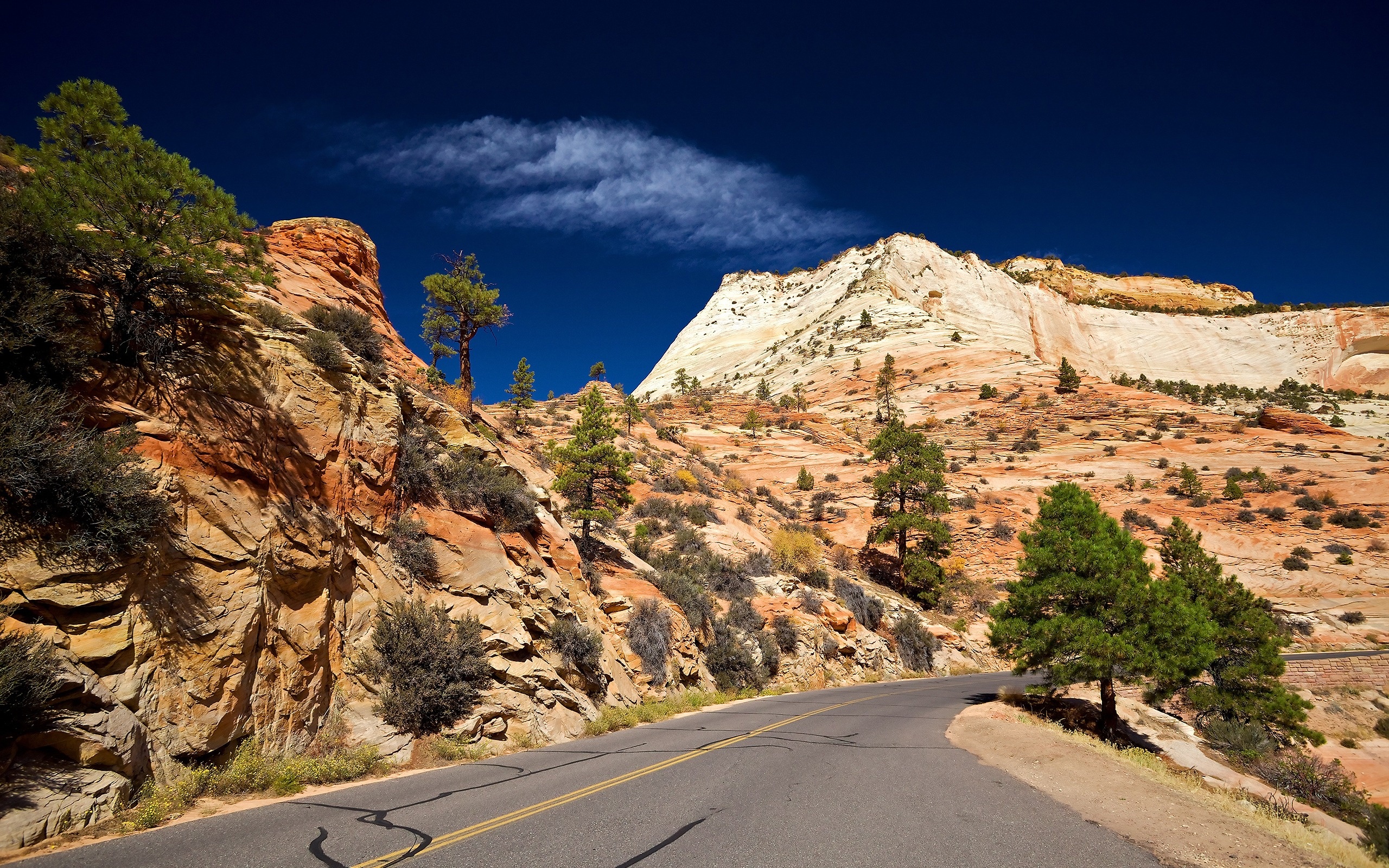 Zion National Park, USA mountains, Utah nature, Springdale beauty, 2560x1600 HD Desktop