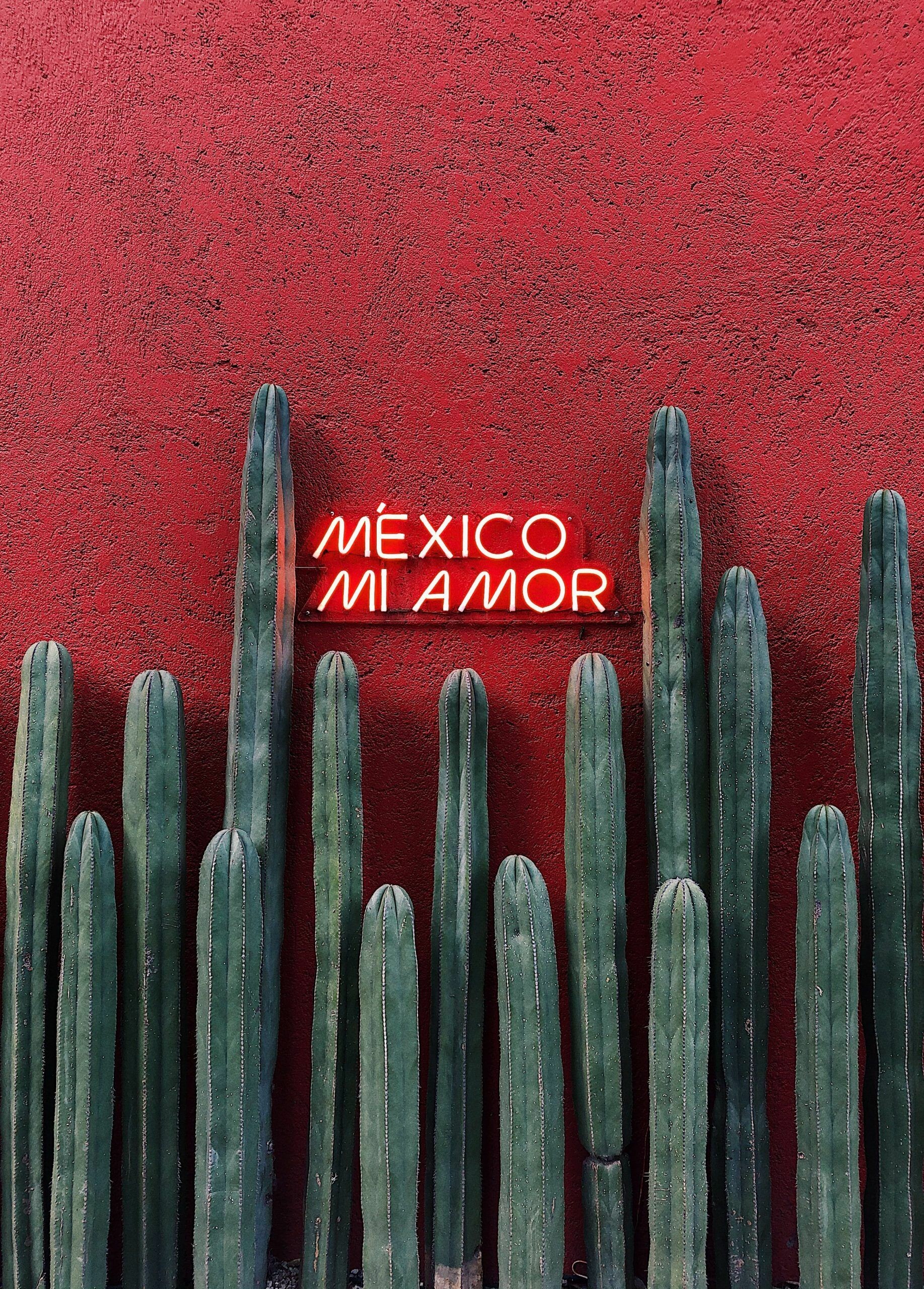 Mexico: The 10th-most-populous country and has the most Spanish-speakers. 1840x2560 HD Wallpaper.