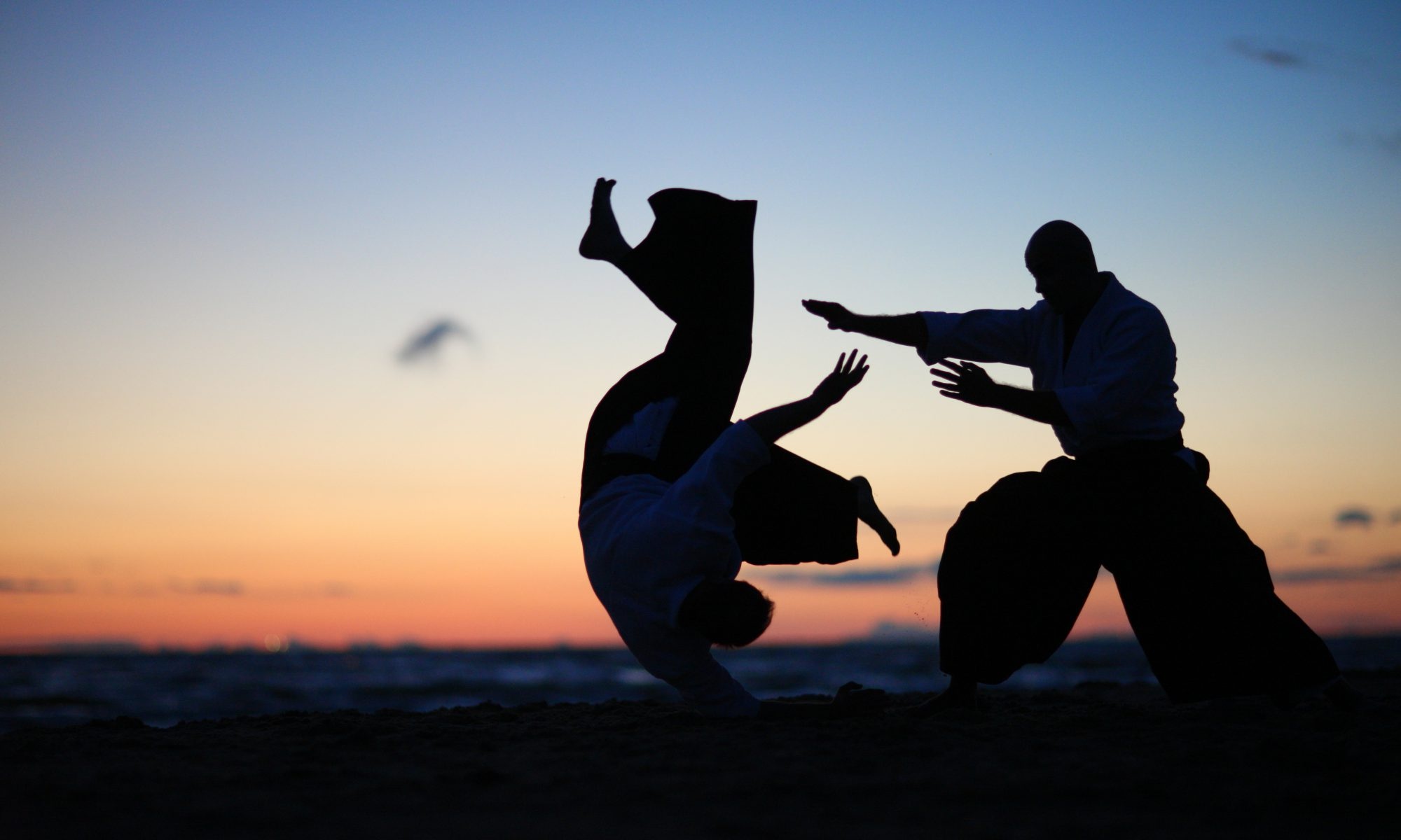 Aikido initiation, Hessen association, Martial art journey, Path of discovery, 2000x1200 HD Desktop