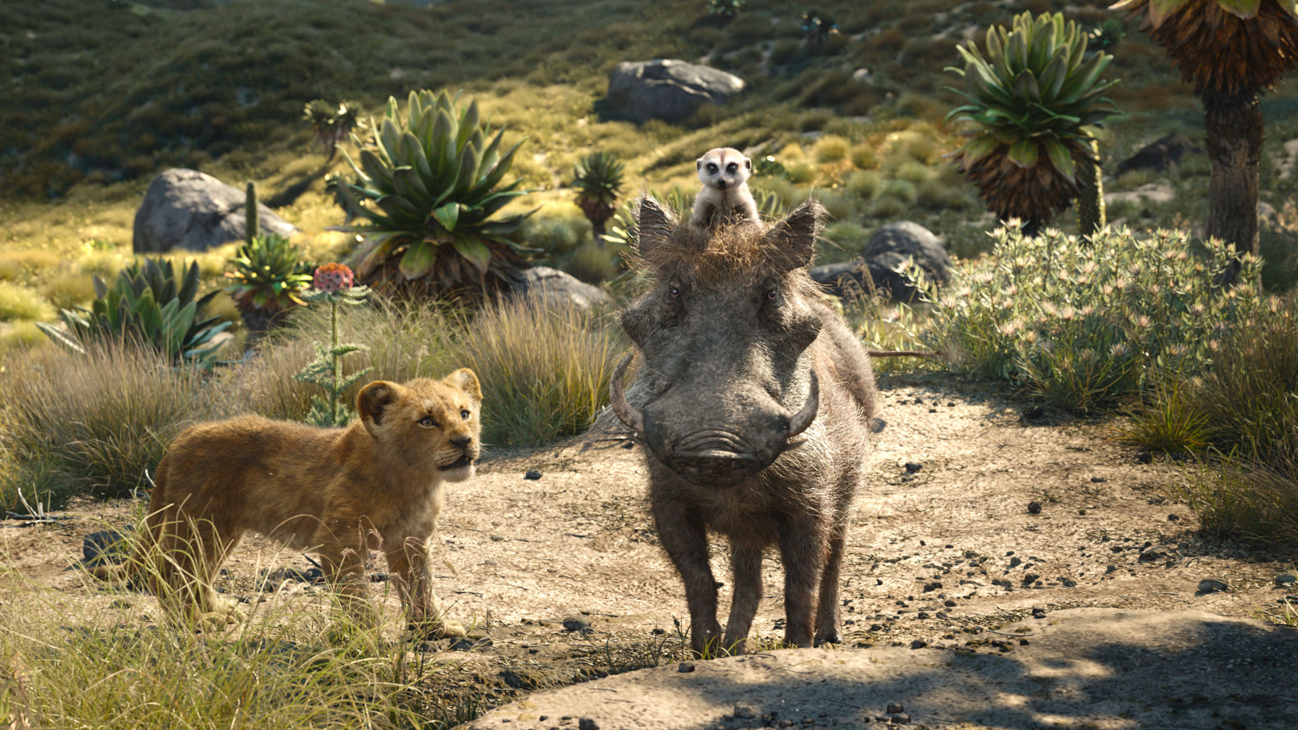 The Lion King movie, Digital purchase, Spanish version, Movie experience, 2560x1440 HD Desktop